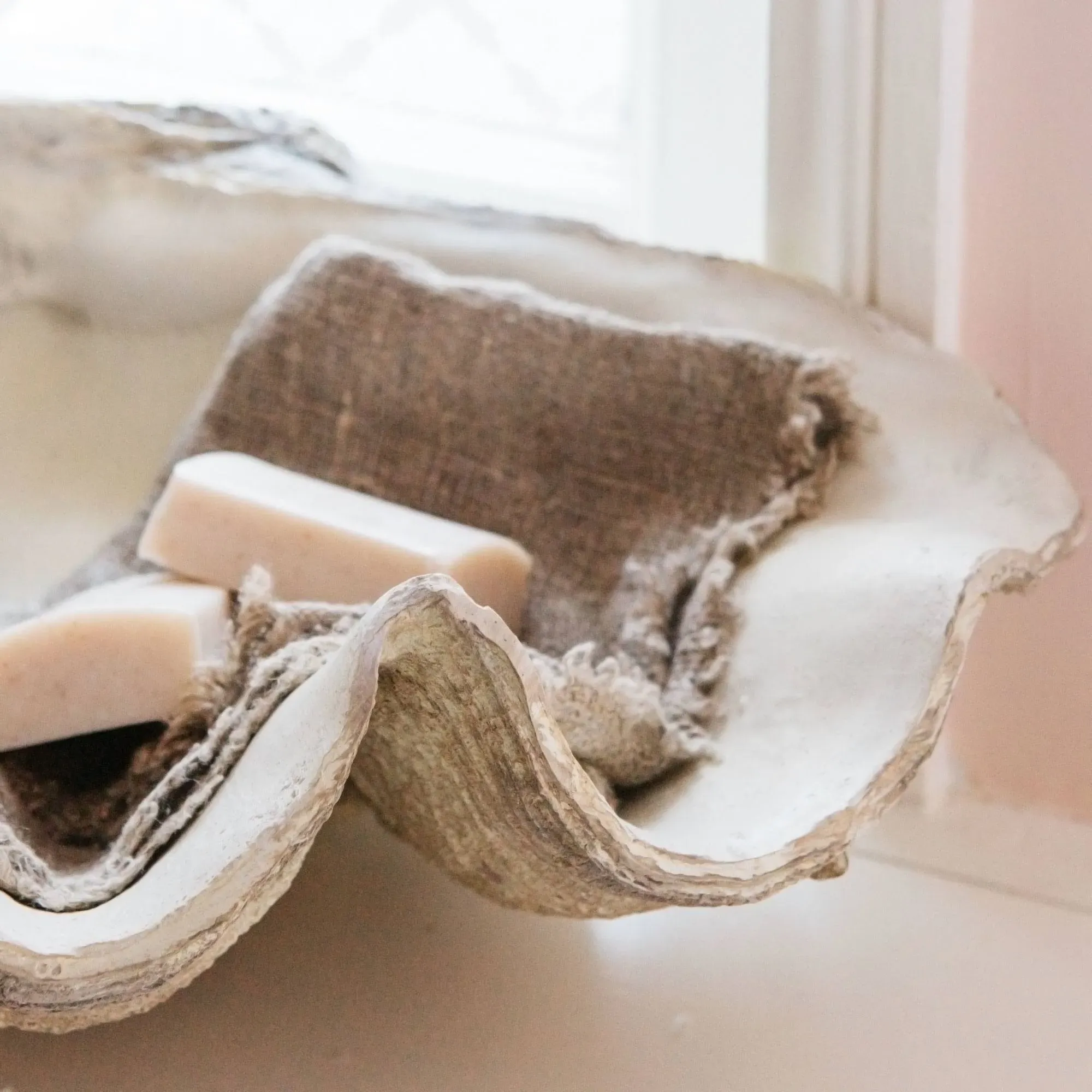 Large Resin Clam Shell Storage - Polyresin
