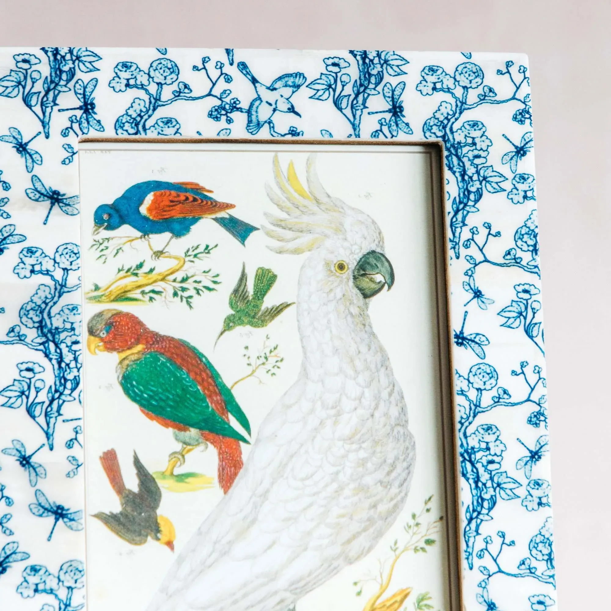 Light Blue Floral Print Bone Frame - Blue, Bone