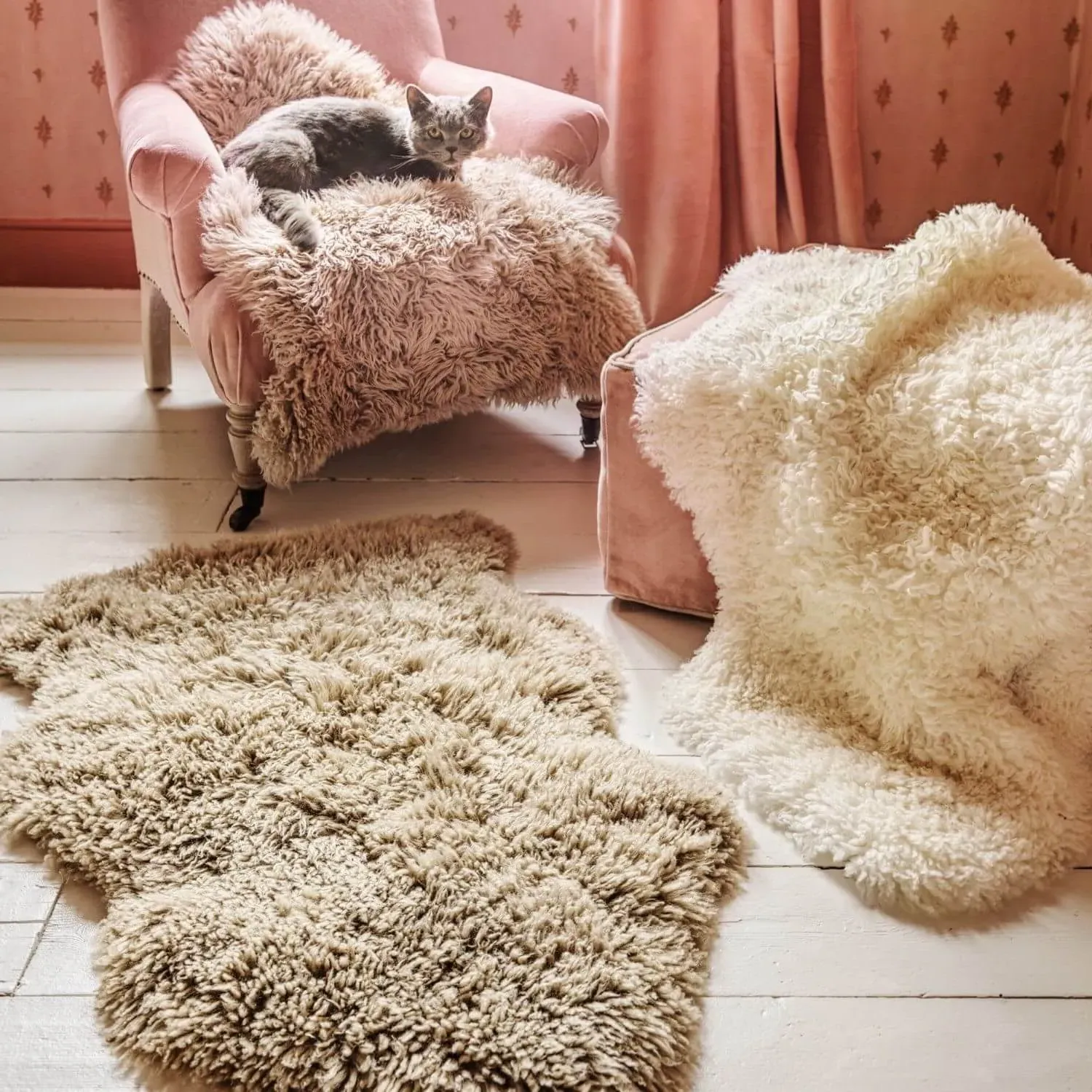 Long Curly Single Sheepskin - Butterscotch image