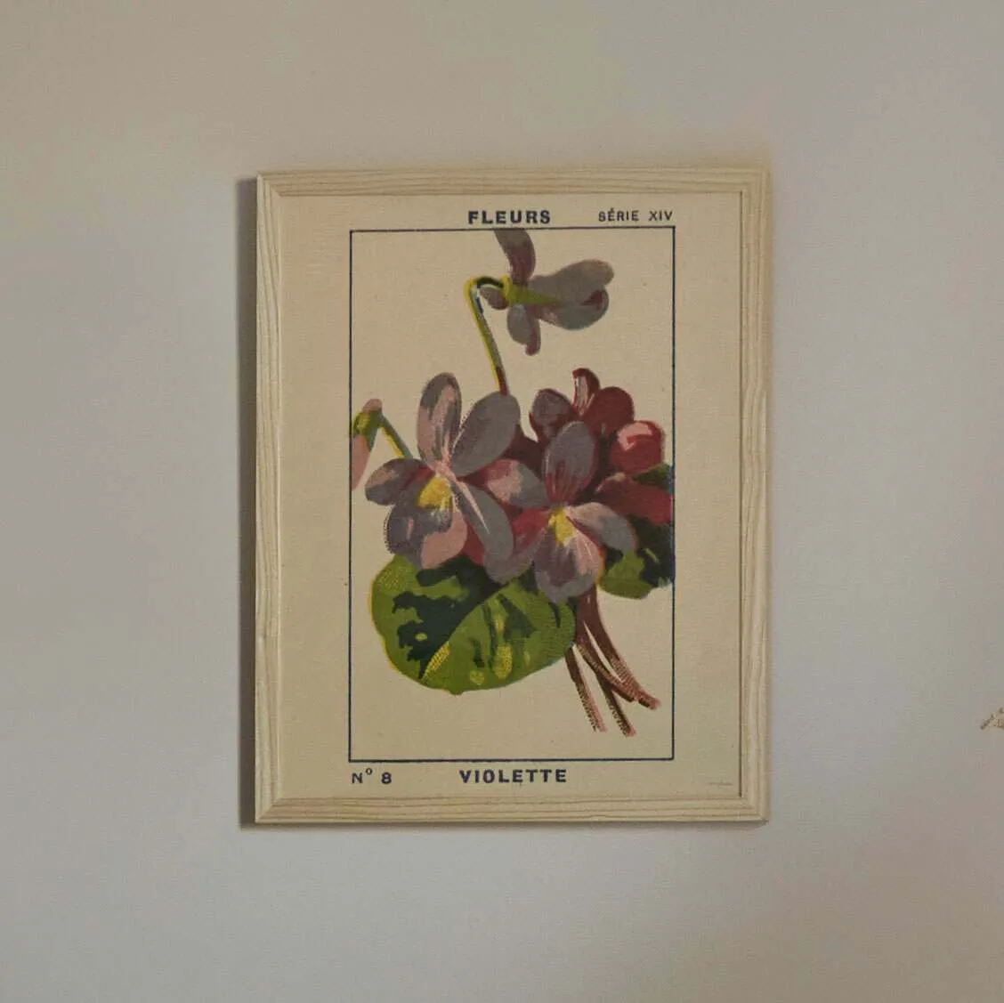 Medium Framed Violet Print - Purple