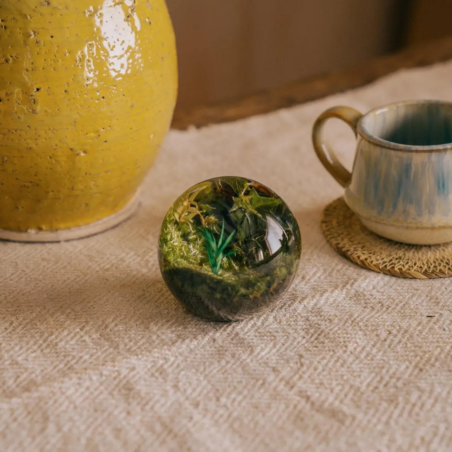 Moss Clear Resin Ball - Clear, Epoxy Resin