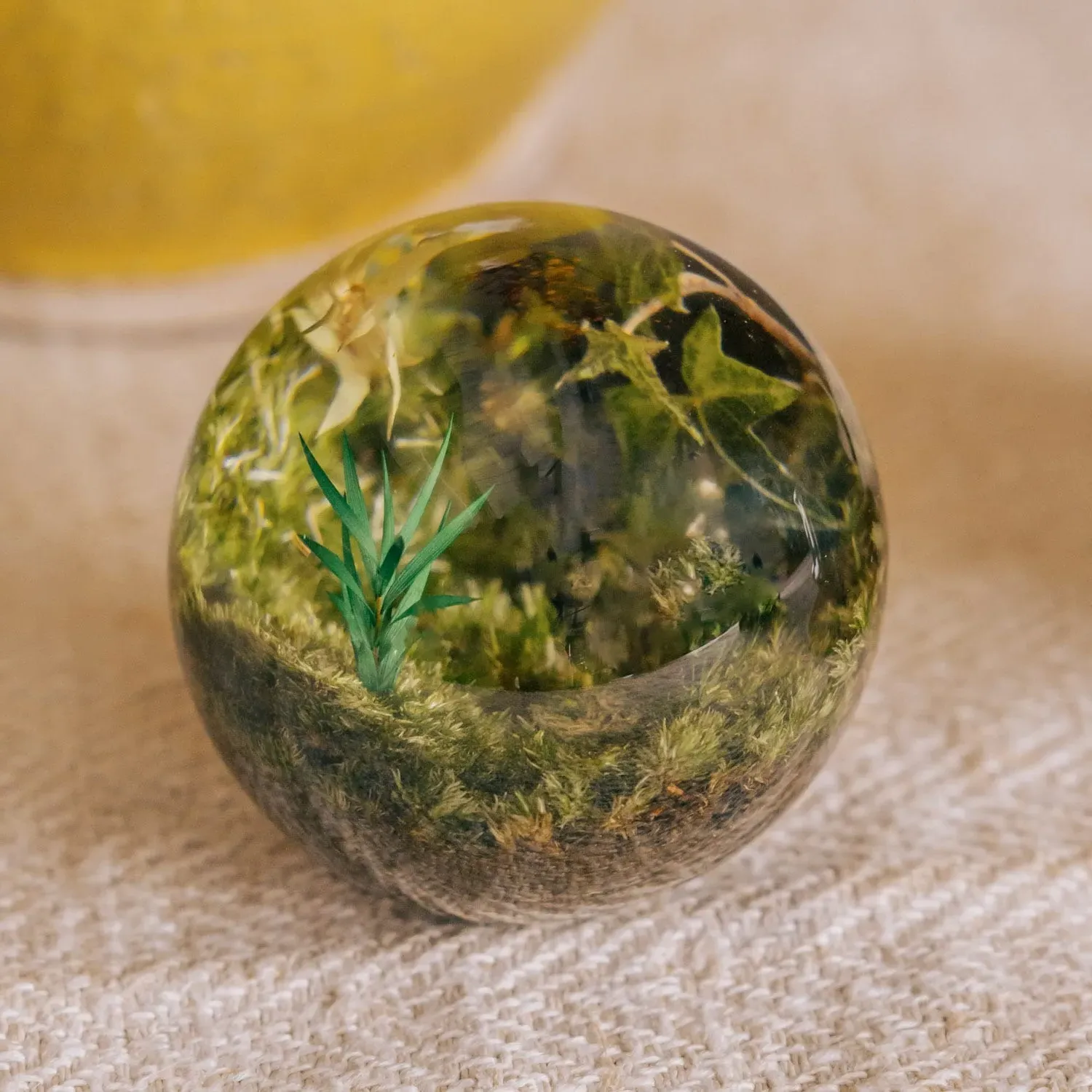 Moss Clear Resin Ball - Clear, Epoxy Resin