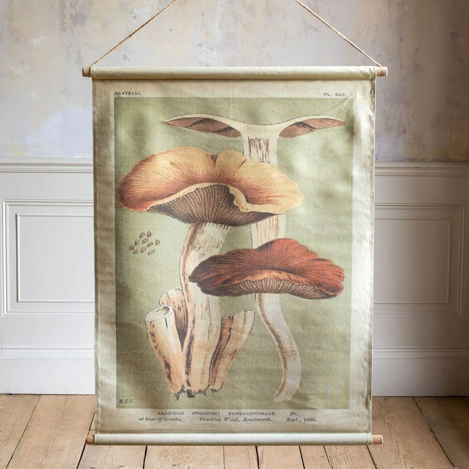 Mushroom Hanging Canvas - Dark Hues