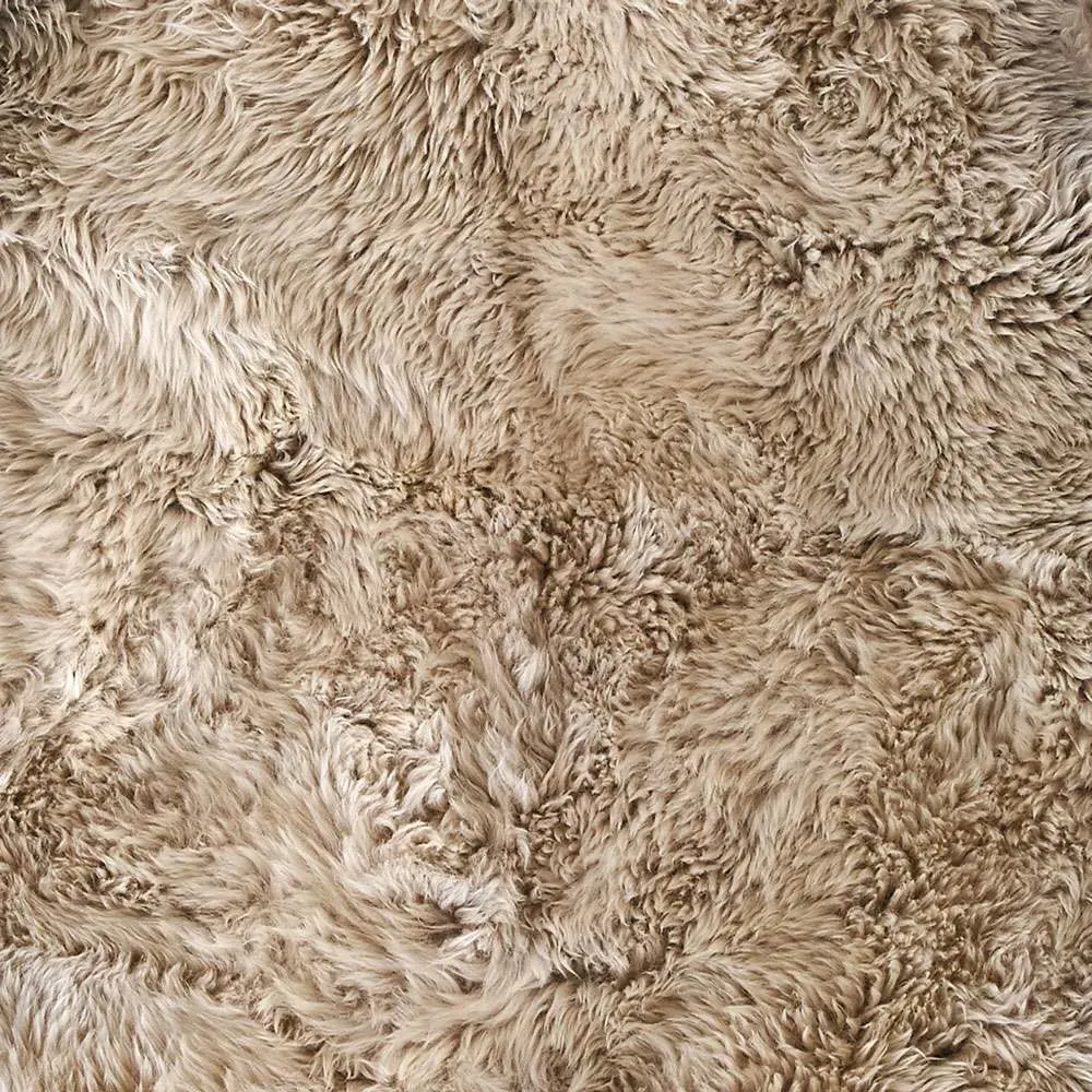 Oyster Single Sheepskin Rug - Brown