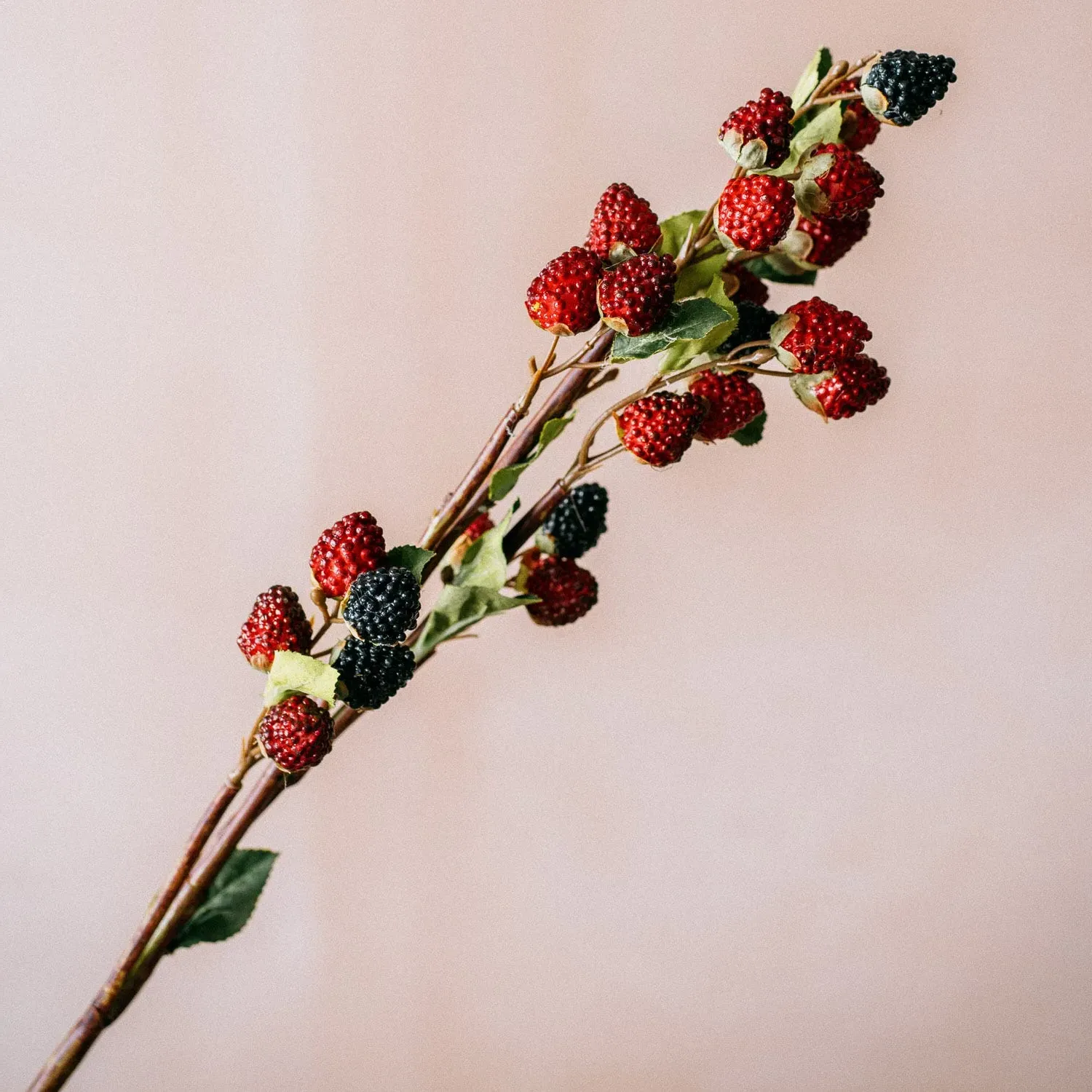 Raspberry & Blackberry Stem - Acrylic, Iron