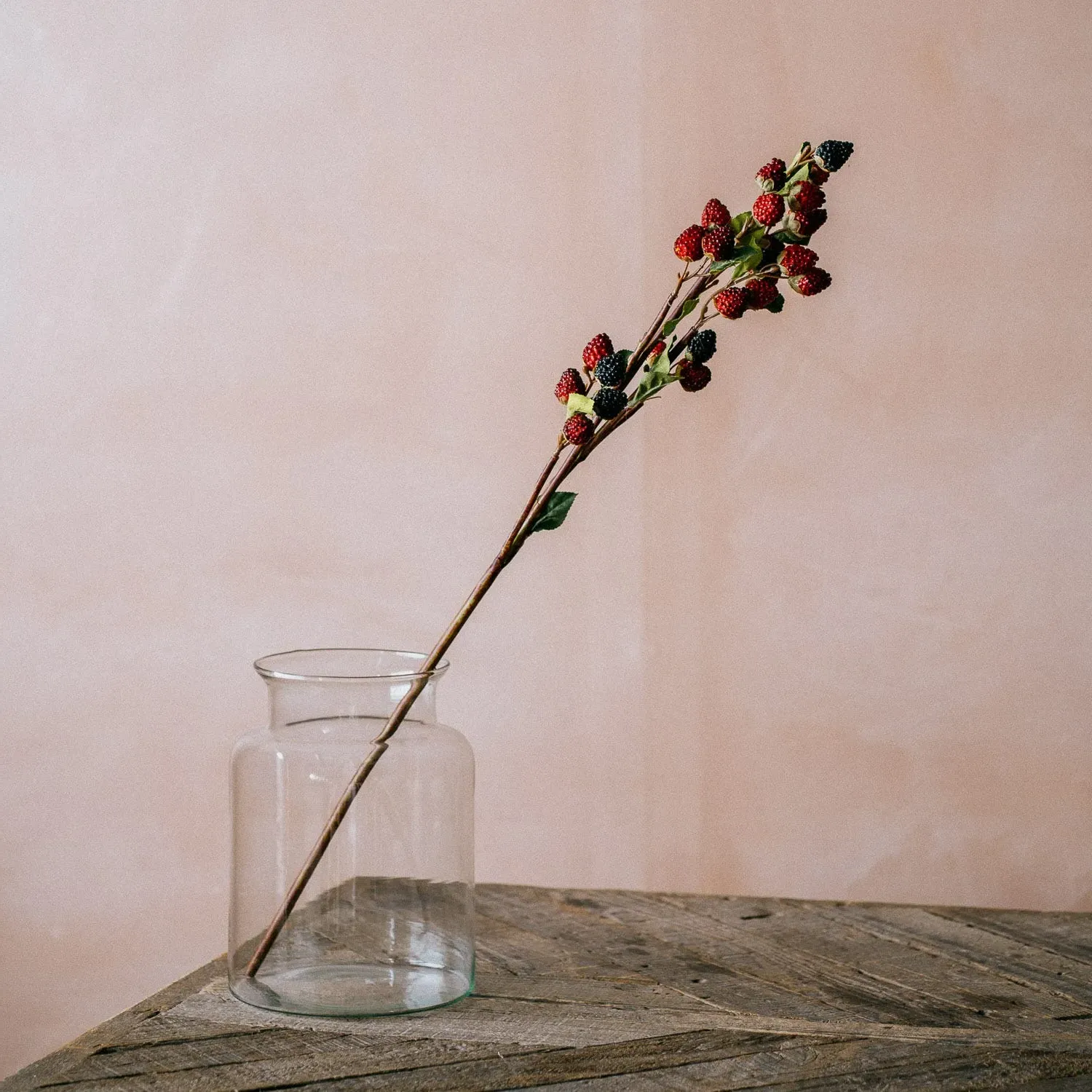 Raspberry & Blackberry Stem - Acrylic, Iron image