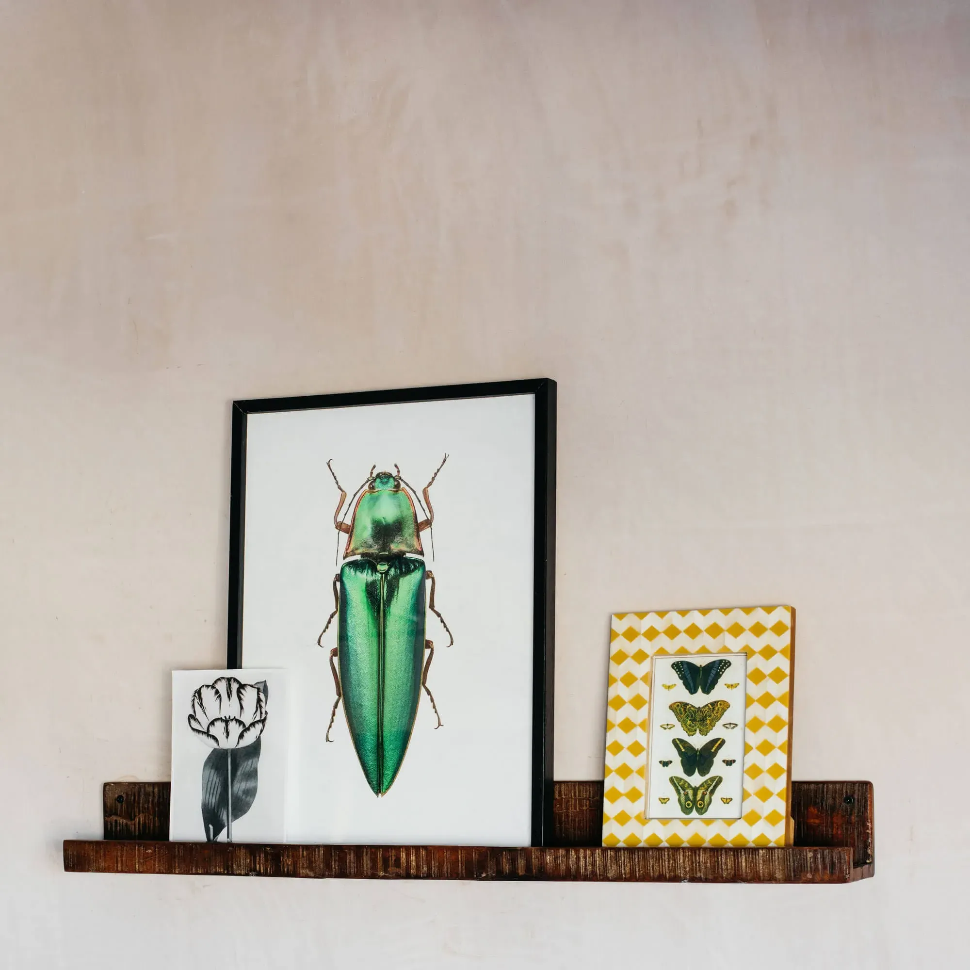 Recycled Wood Photo Shelf - Dark