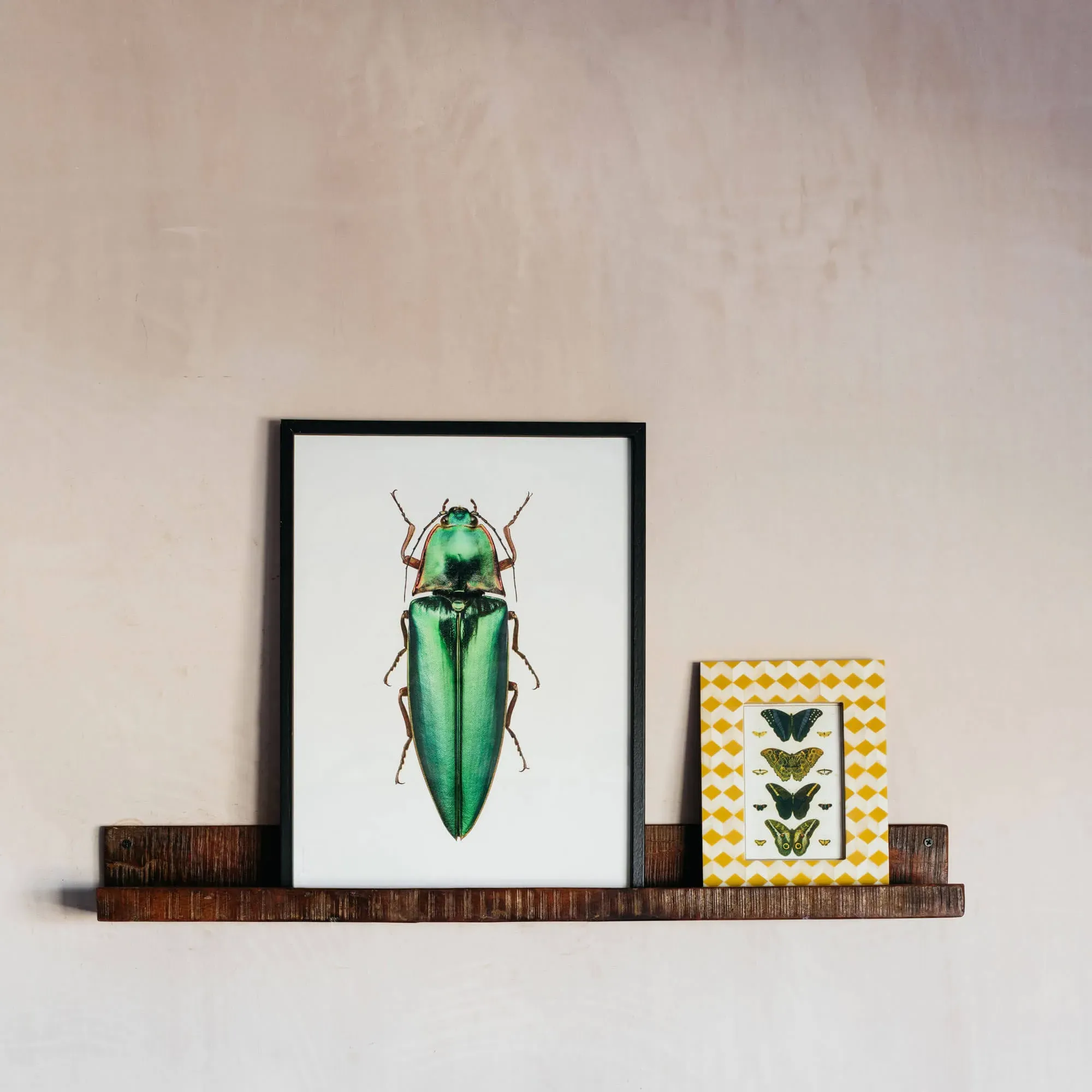 Recycled Wood Photo Shelf - Dark