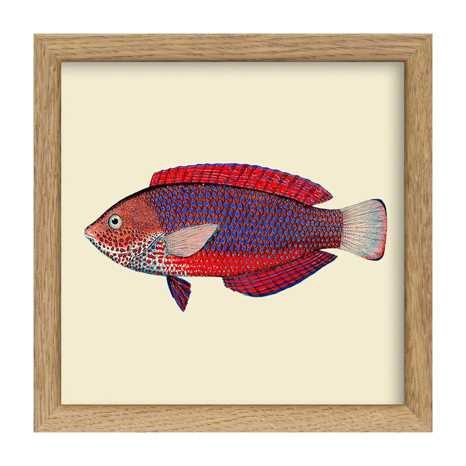 Red & Purple Fish Print with Oak Frame