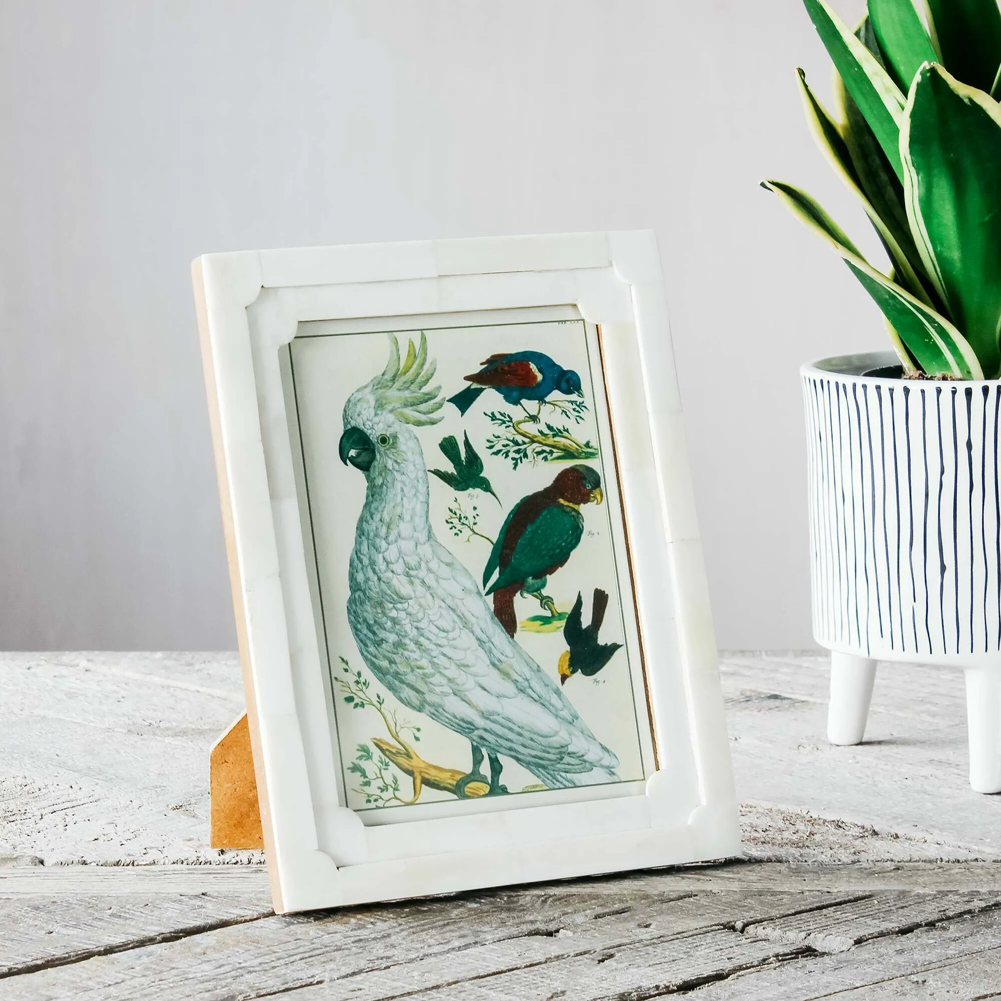 Relief Photo Frame - White, Bone