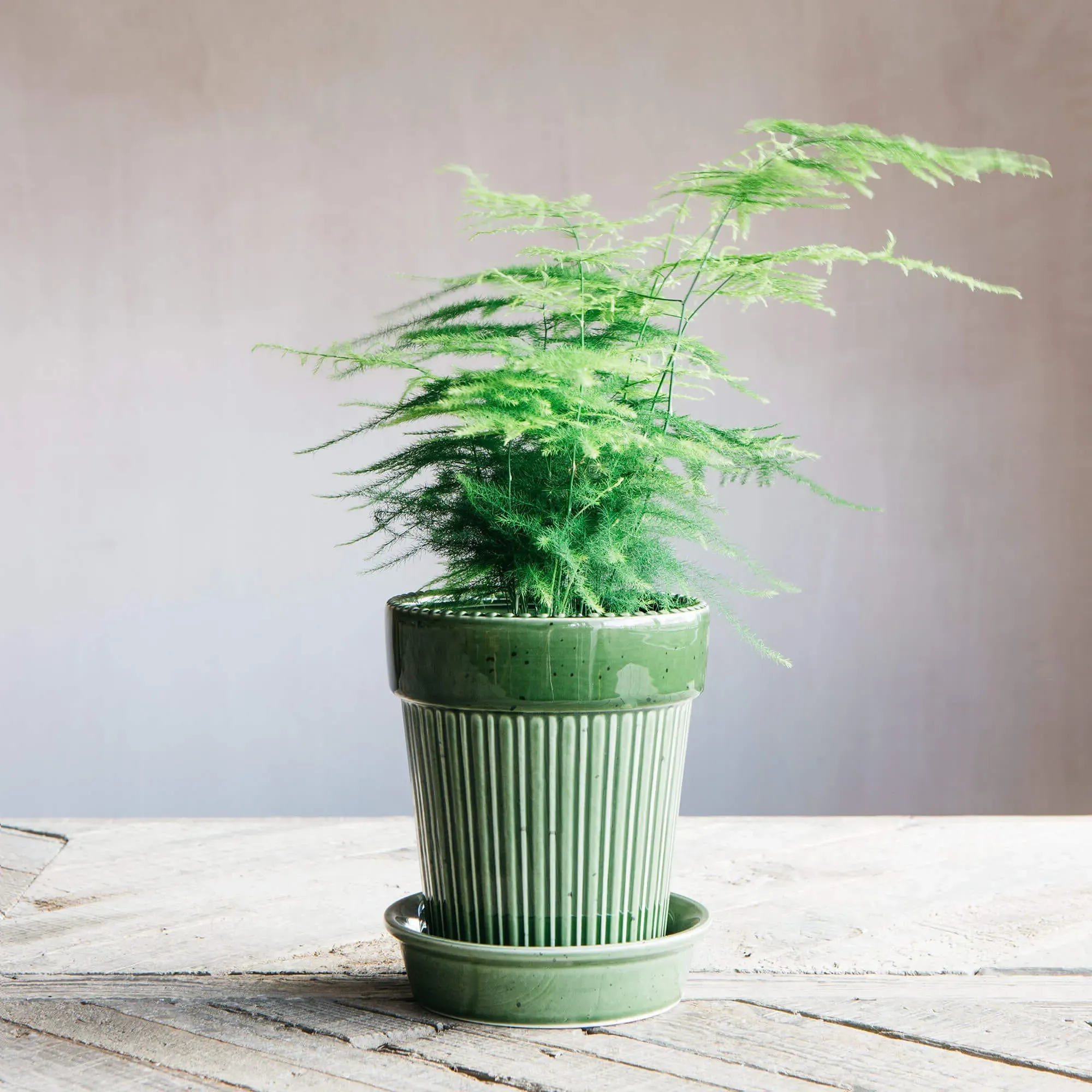 Ribbed Glazed Vase - Green, Ceramic image