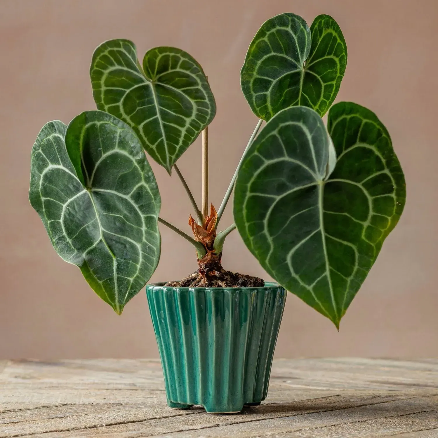 Ribbed Plant Pot - Green, Ceramic