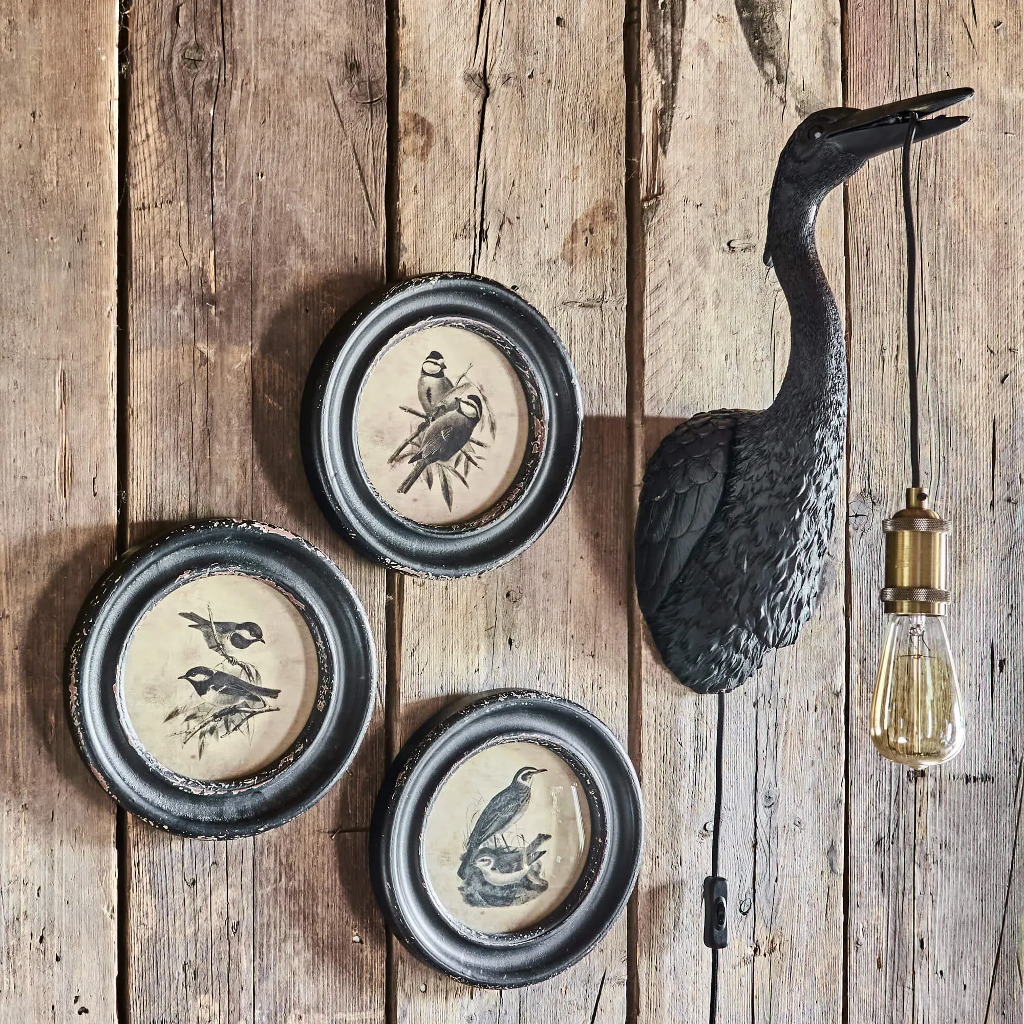 Round Framed Birds Print - Long Beak