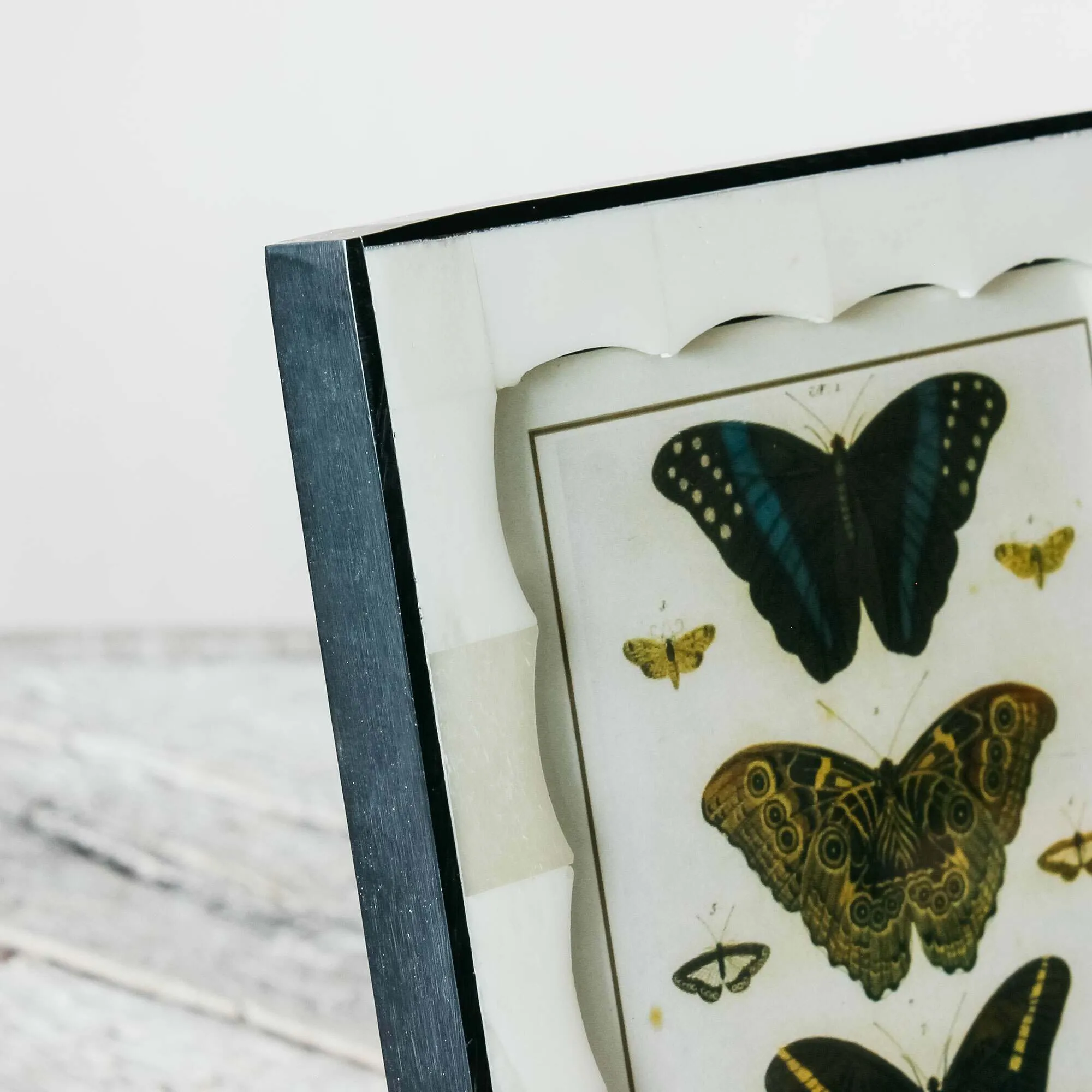 Scalloped Photo Frame - Black, Bone