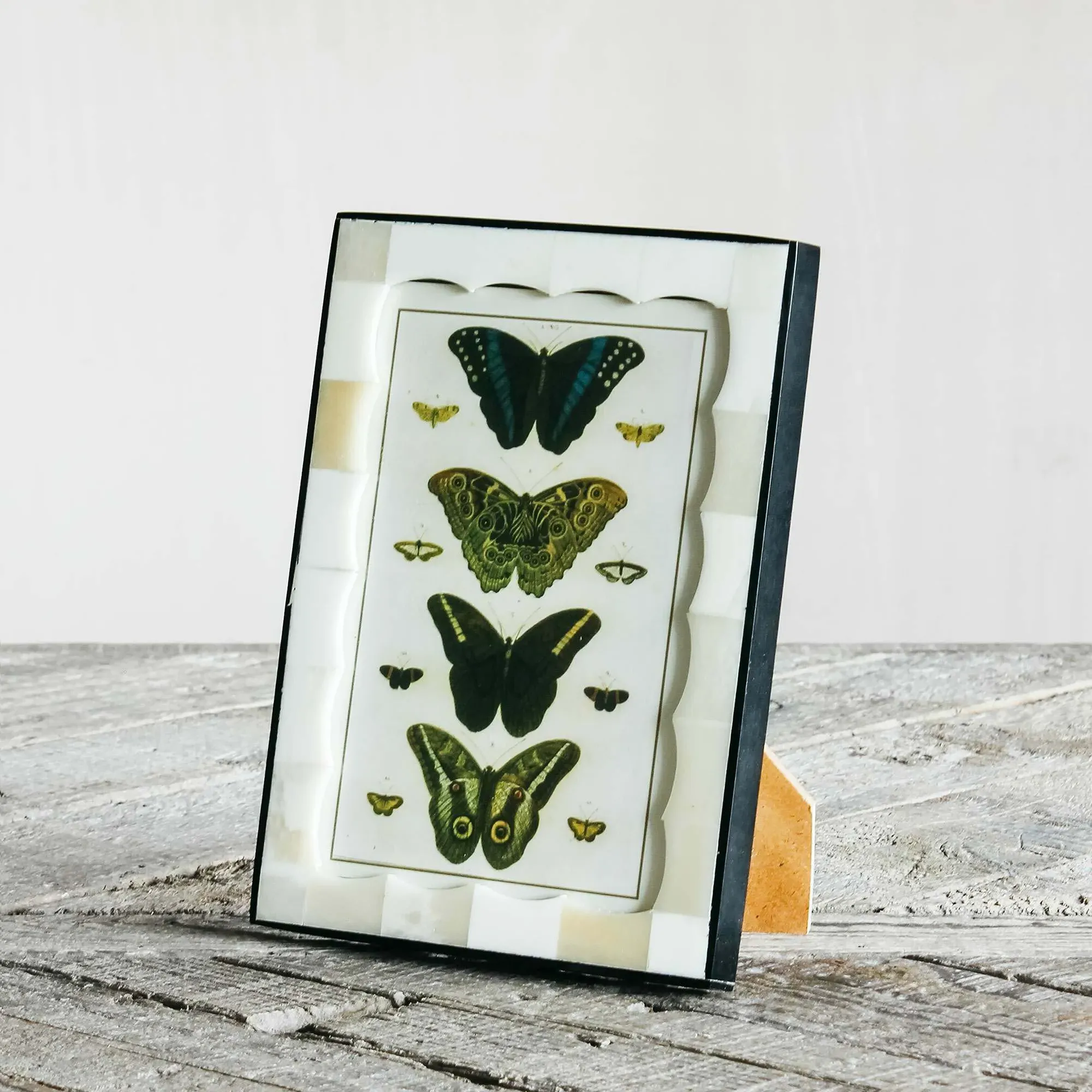 Scalloped Photo Frame - Black, Bone