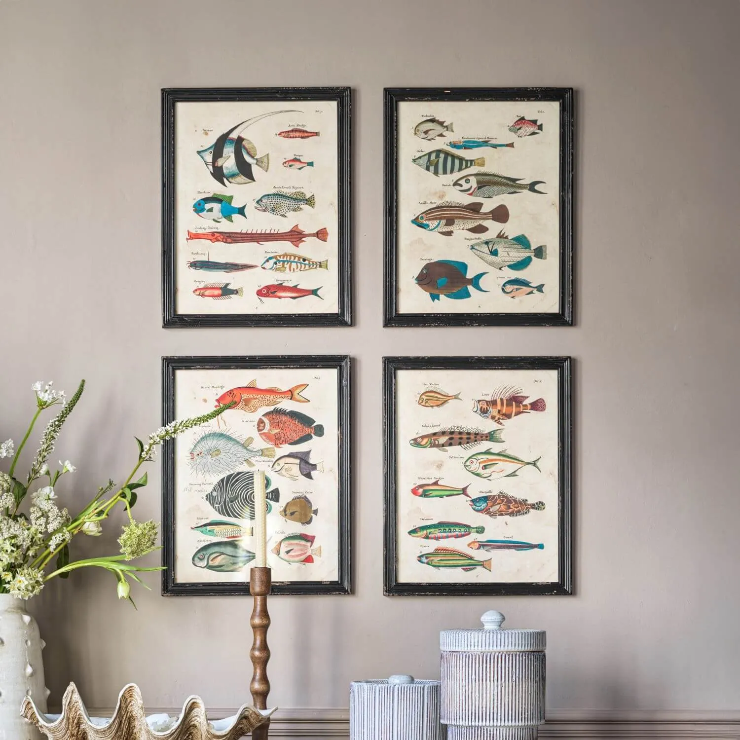 Set of Four Fish Prints - Pine Frame