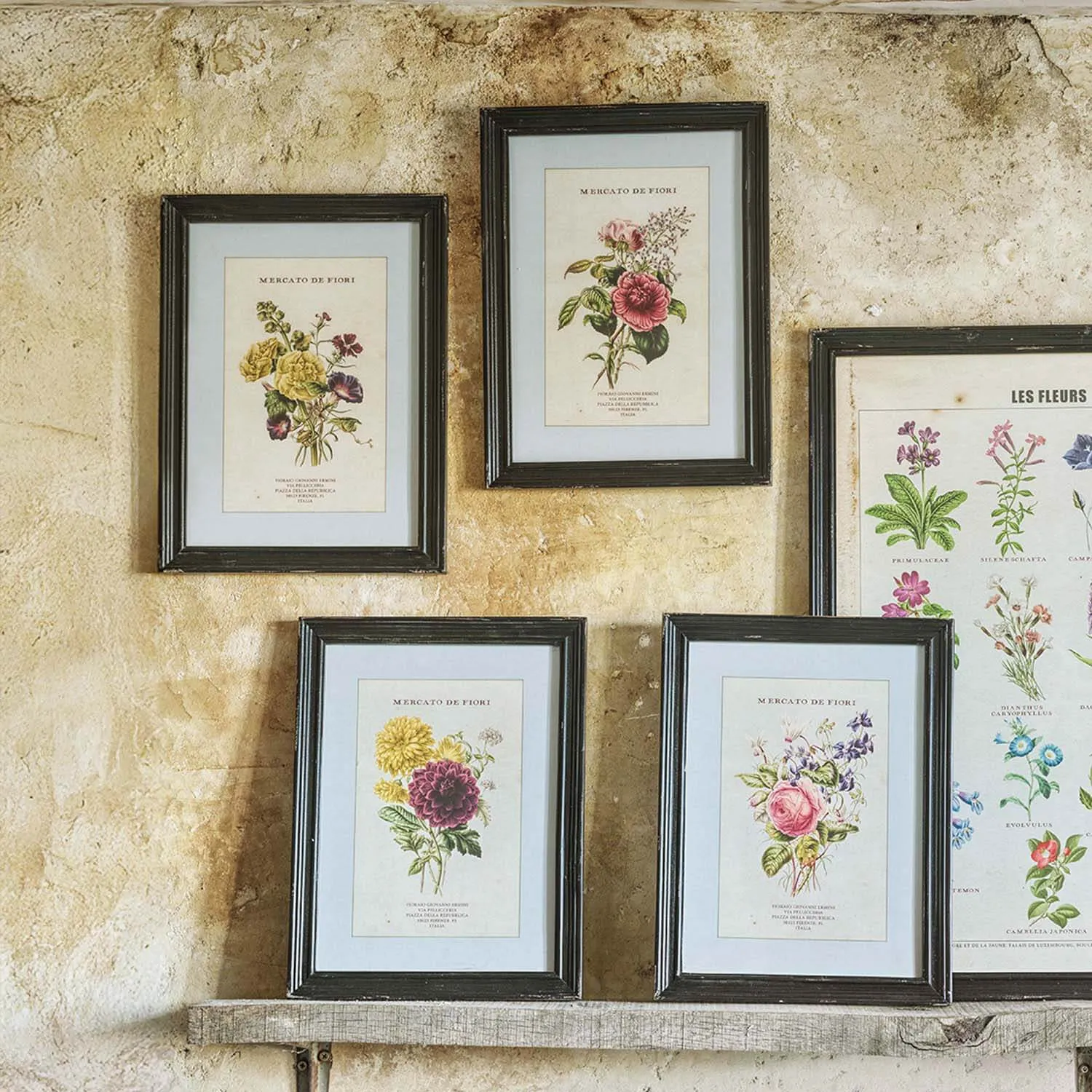 Set of Four Framed Vintage Flower Prints - Wood, Glass