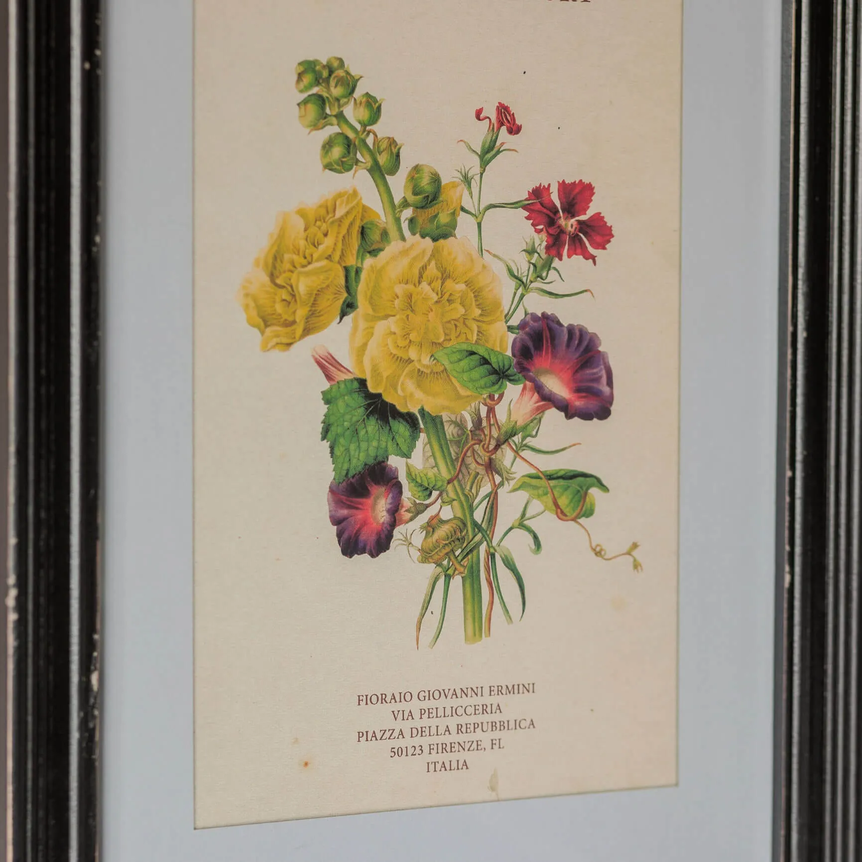 Set of Four Framed Vintage Flower Prints - Wood, Glass
