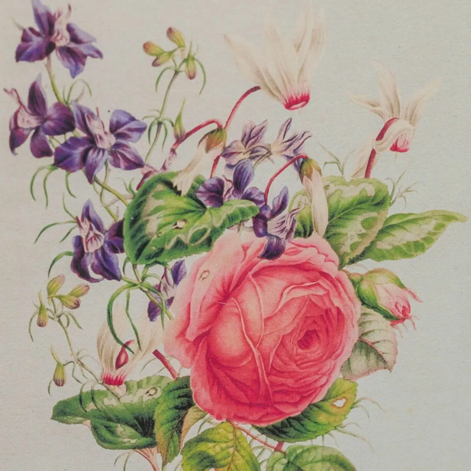 Set of Four Framed Vintage Flower Prints - Wood, Glass