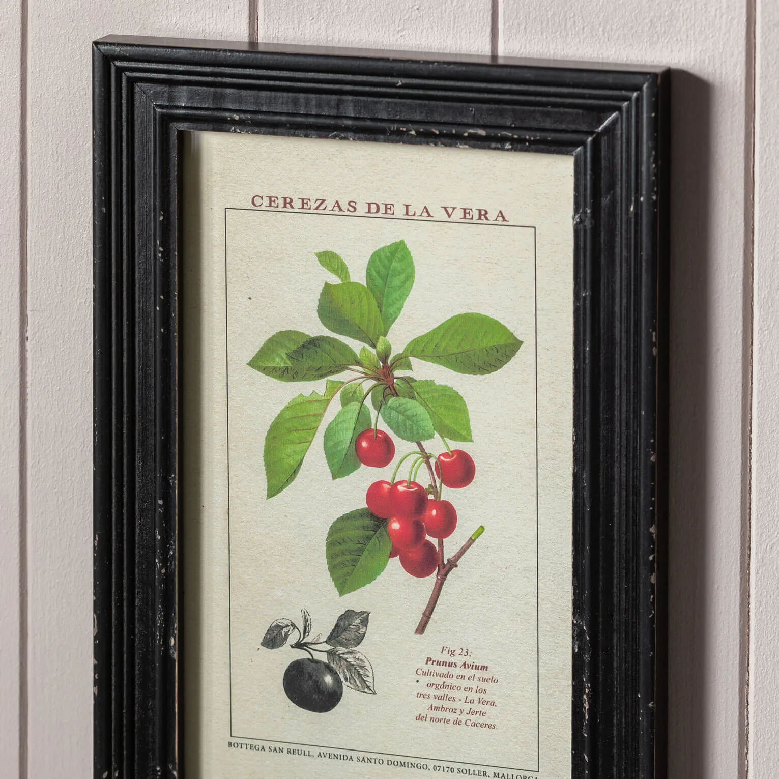 Set of Four Framed Vintage Fruit Prints - Wood, Glass