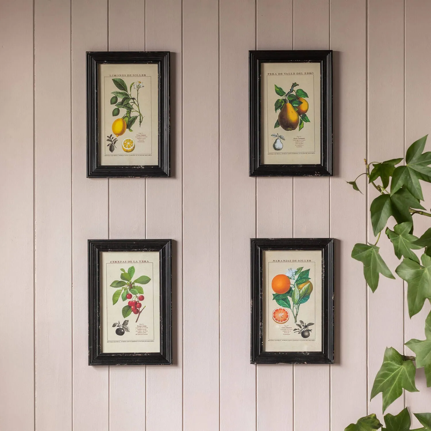 Set of Four Framed Vintage Fruit Prints - Wood, Glass