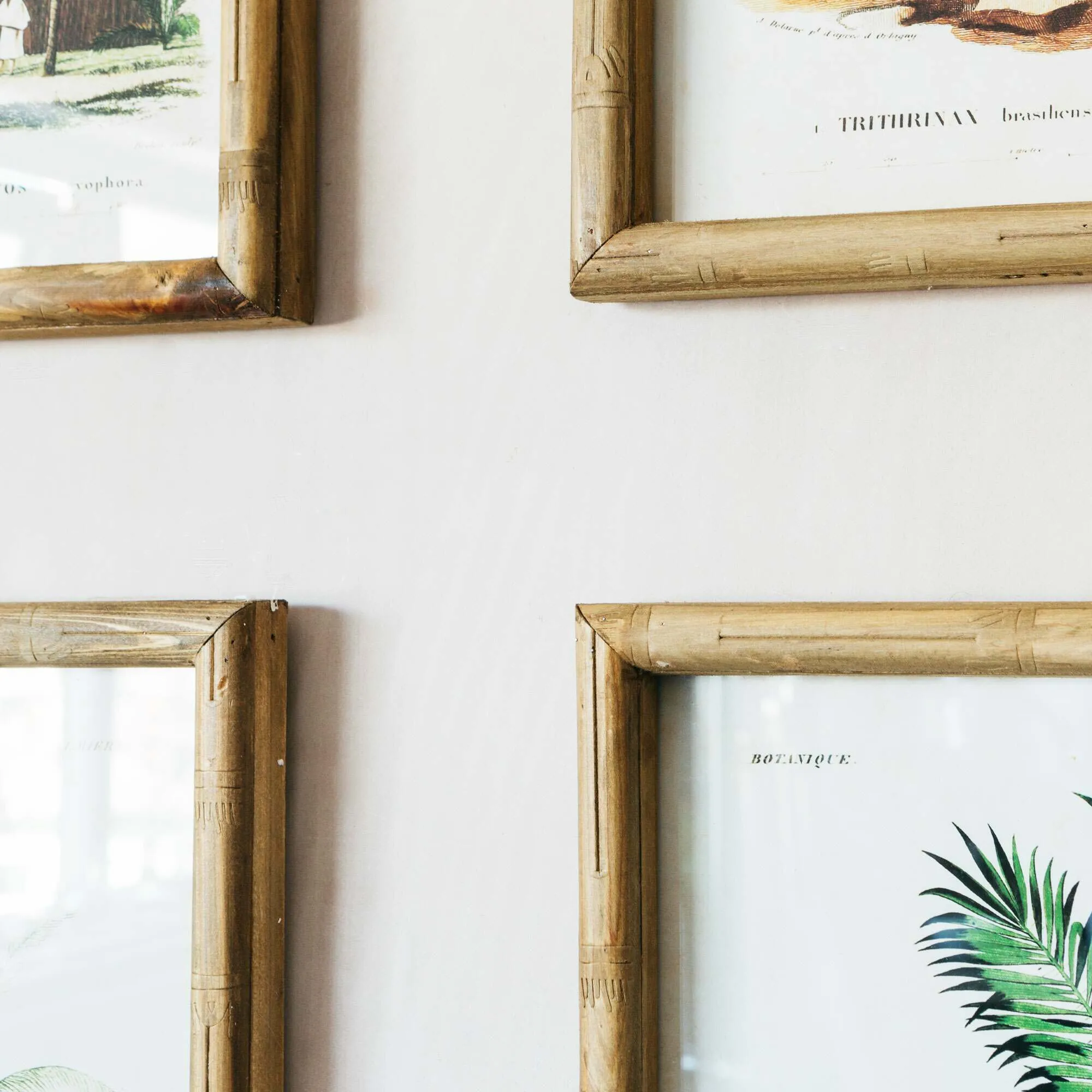 Set of Four Palm Tree Prints - Bamboo Frame