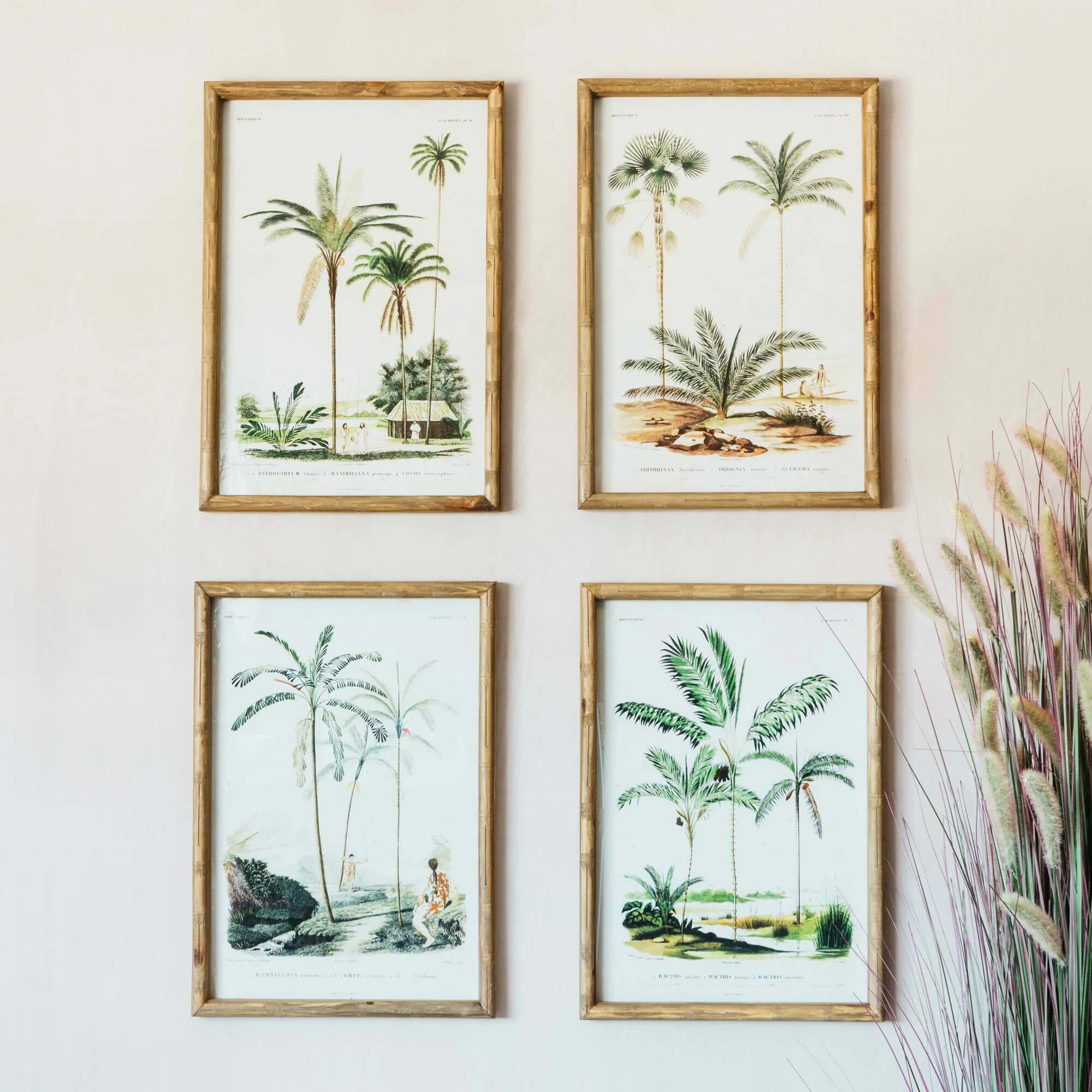 Set of Four Palm Tree Prints - Bamboo Frame