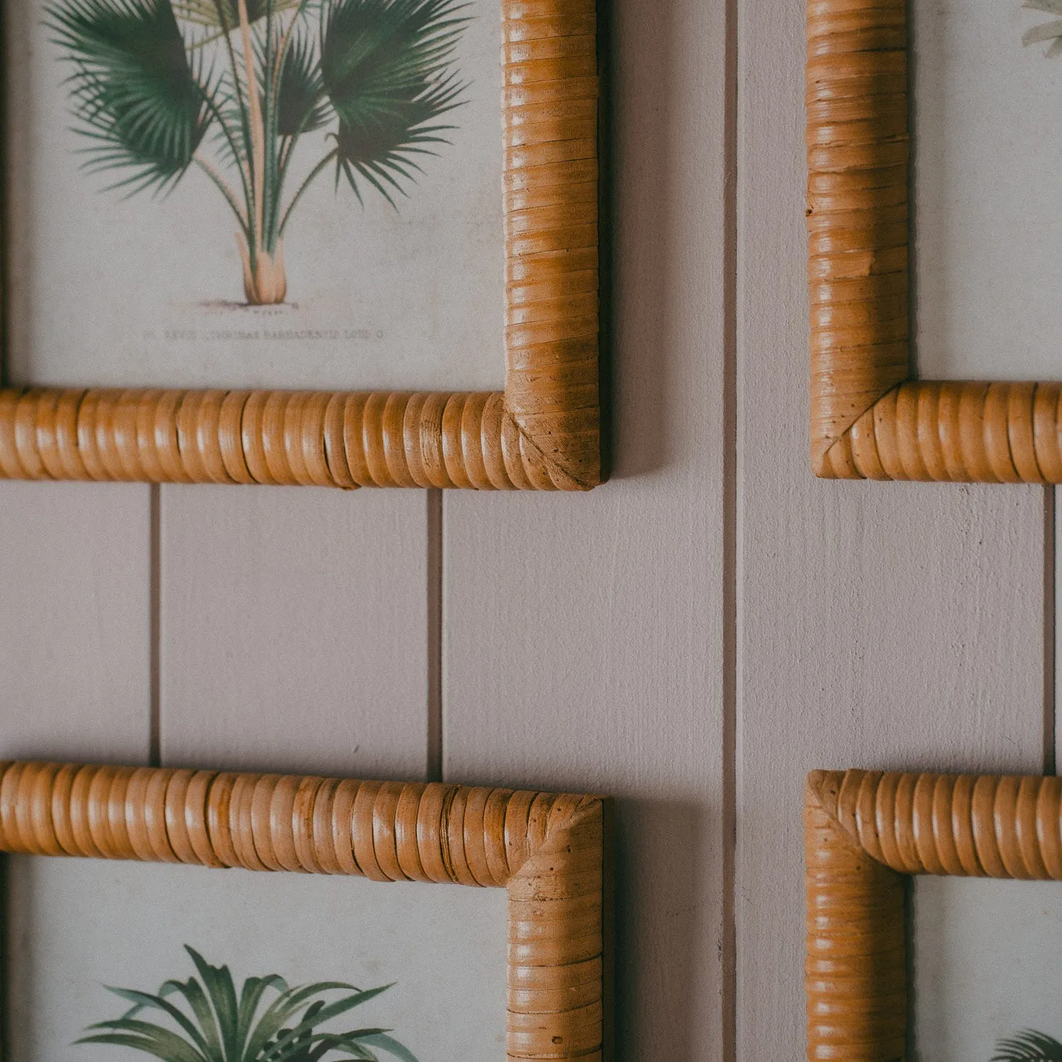 Set of Four Palm Tree Prints - Rattan Frame