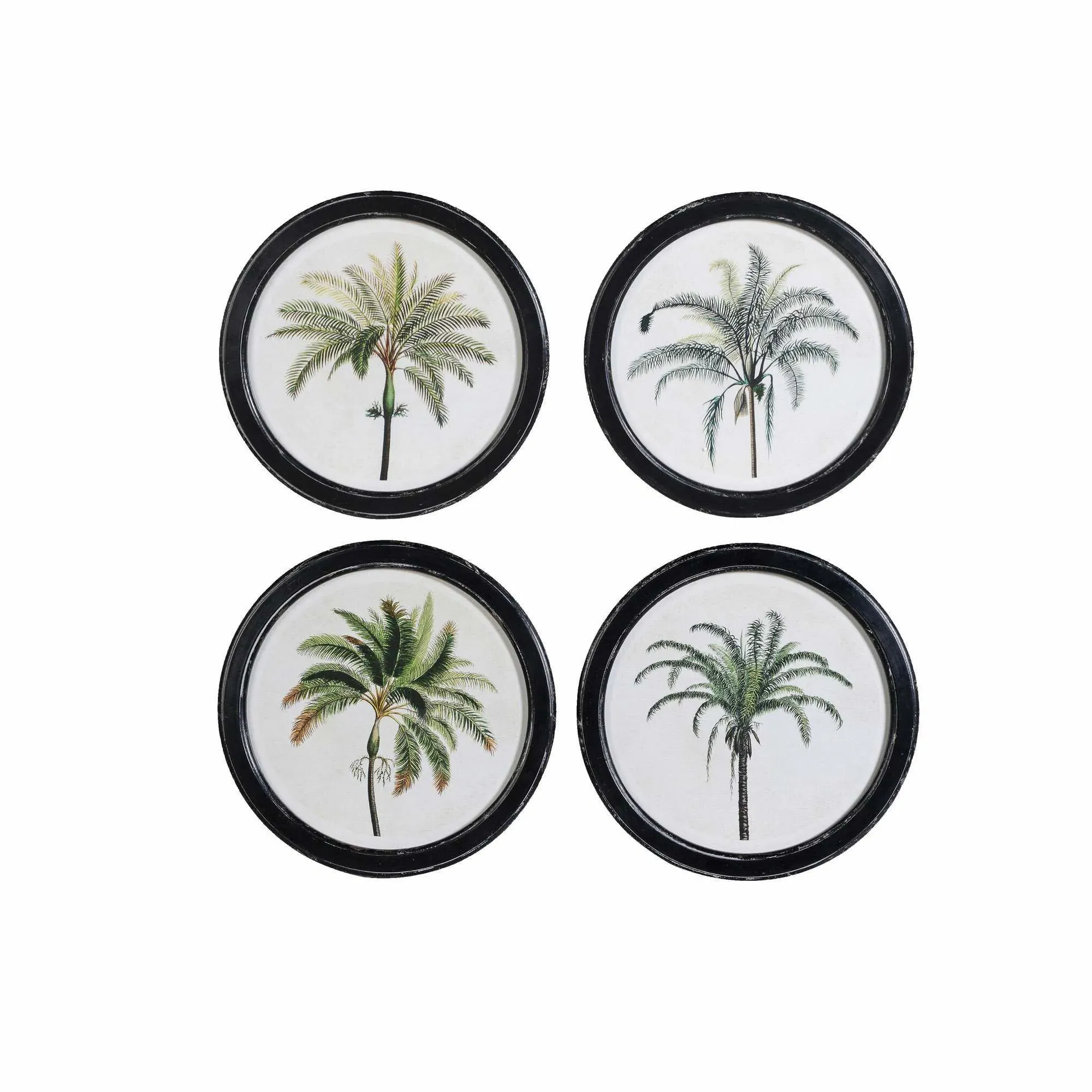 Set of Four Round Framed Palm Prints - Glass, Timber image