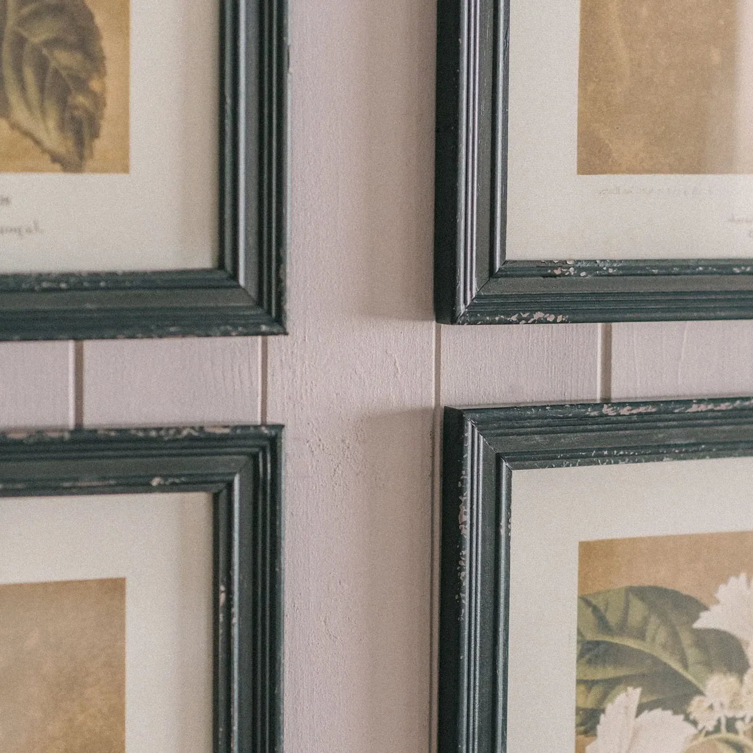 Set of Four White Florals Framed Prints - Fir, Glass