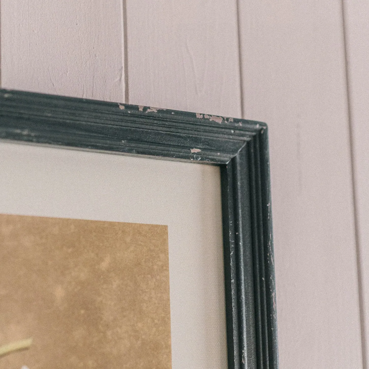 Set of Four White Florals Framed Prints - Fir, Glass