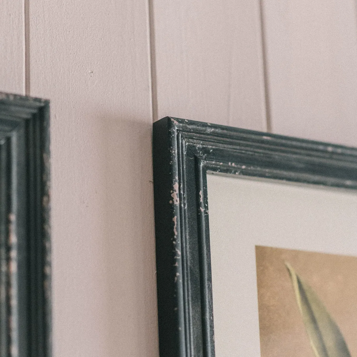 Set of Four White Florals Framed Prints - Fir, Glass