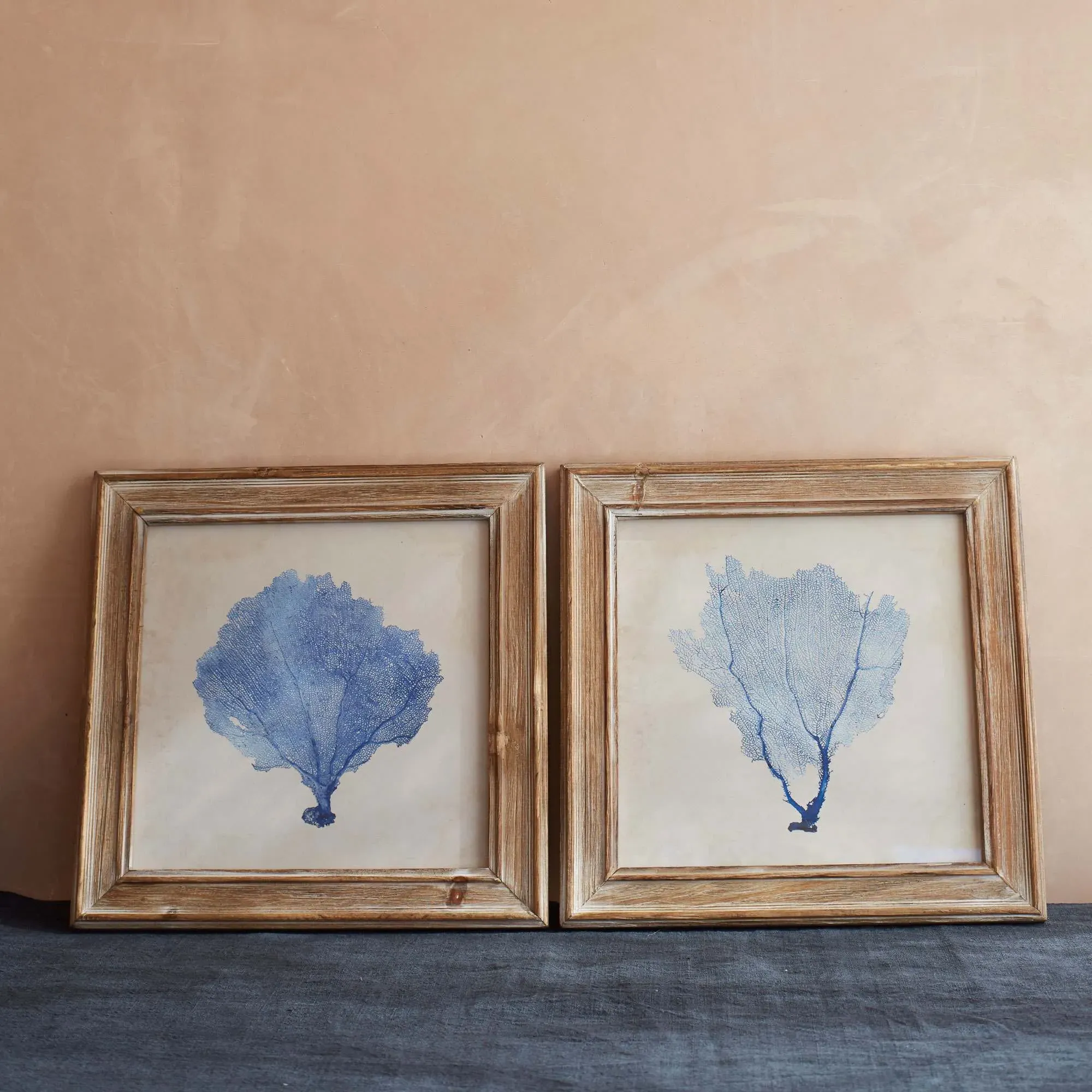 Set of Two Framed Blue Coral Pictures - Blue, Fir Wood