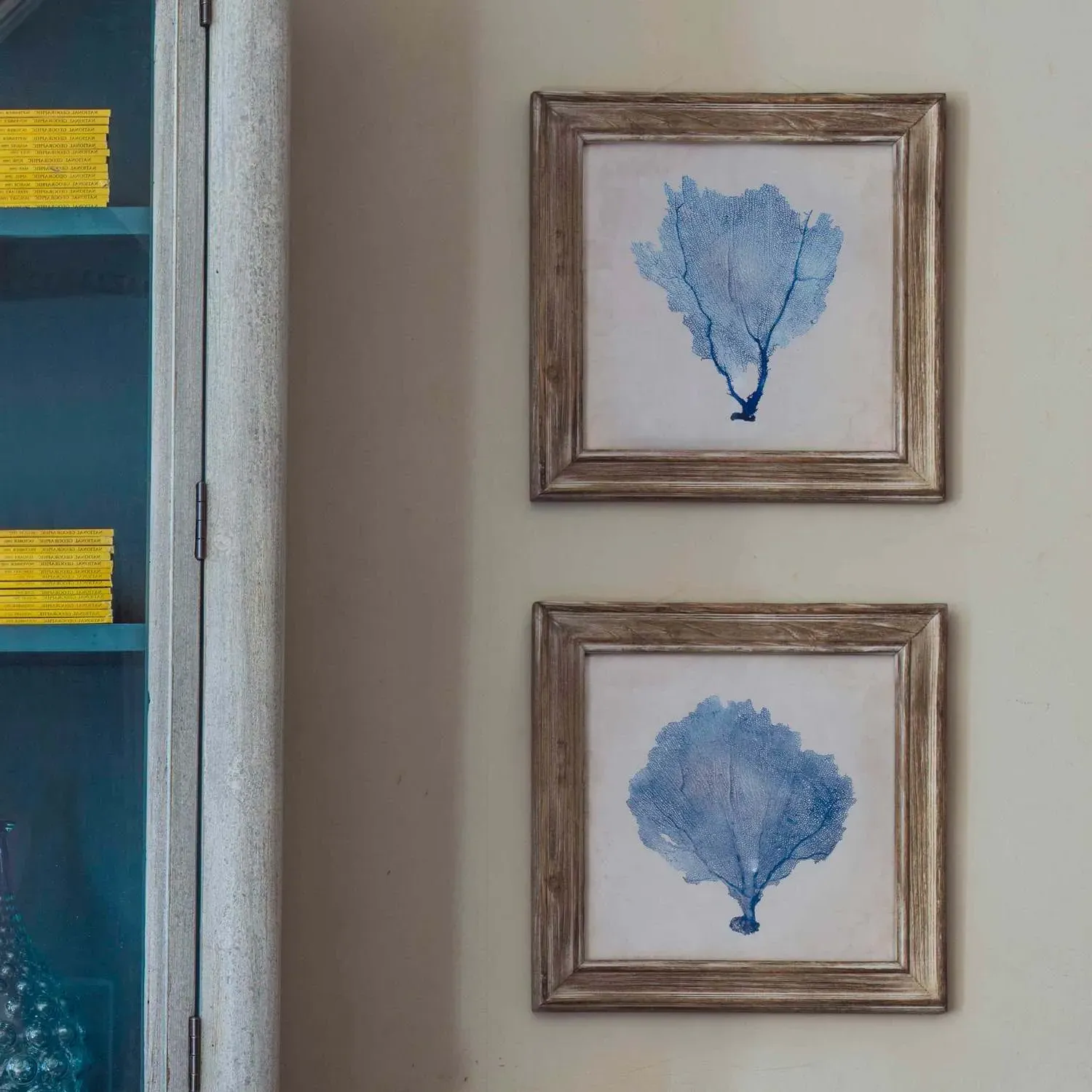 Set of Two Framed Blue Coral Pictures - Blue, Fir Wood image
