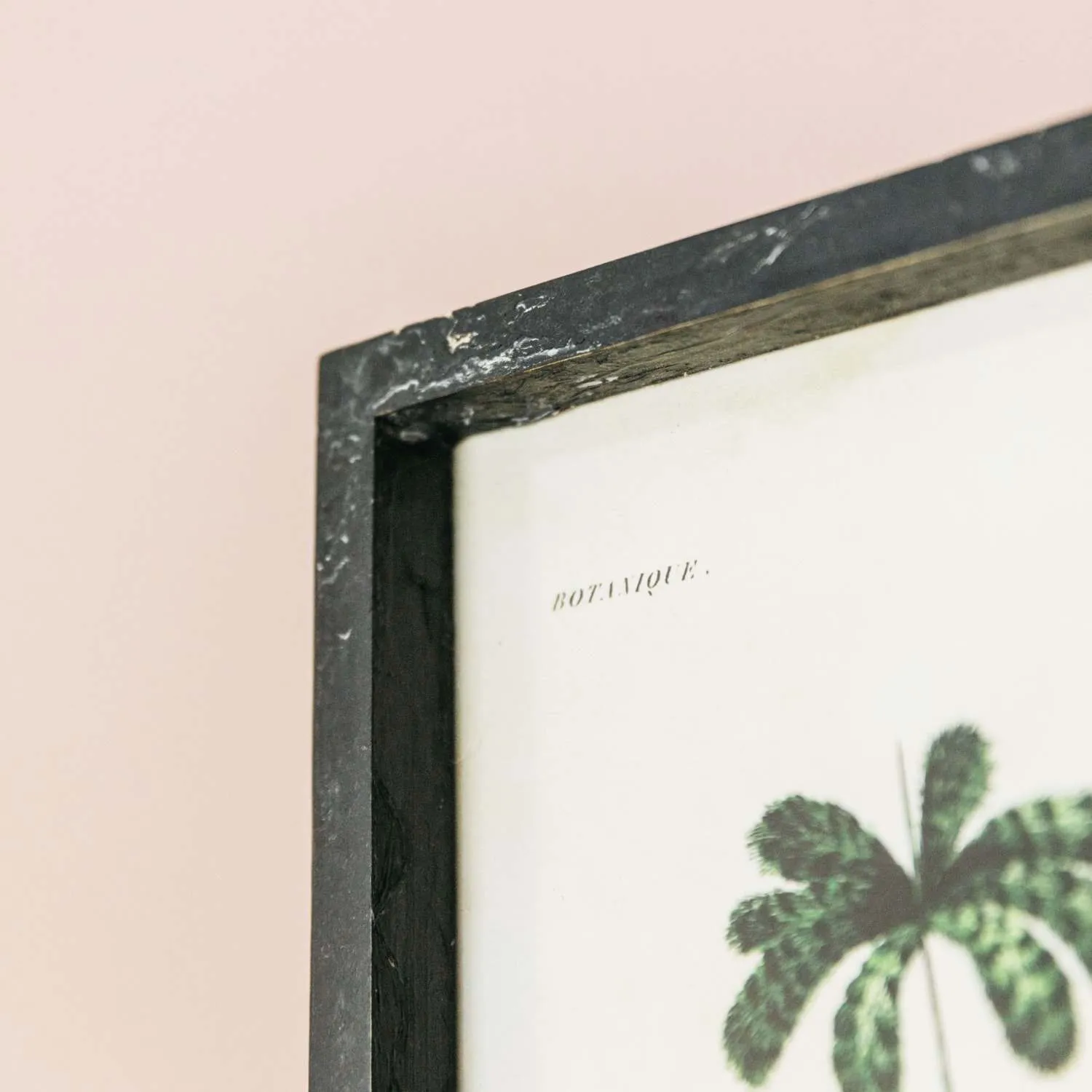 Set of Two Framed Palm Tree Prints - Black, Fir Wood