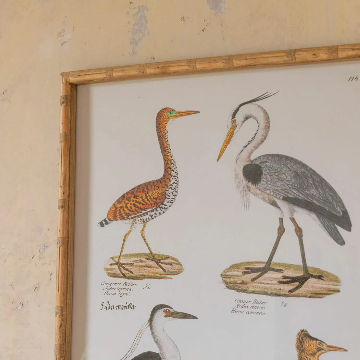 Set of Two Wading Birds Wall Art - Fir, Paper