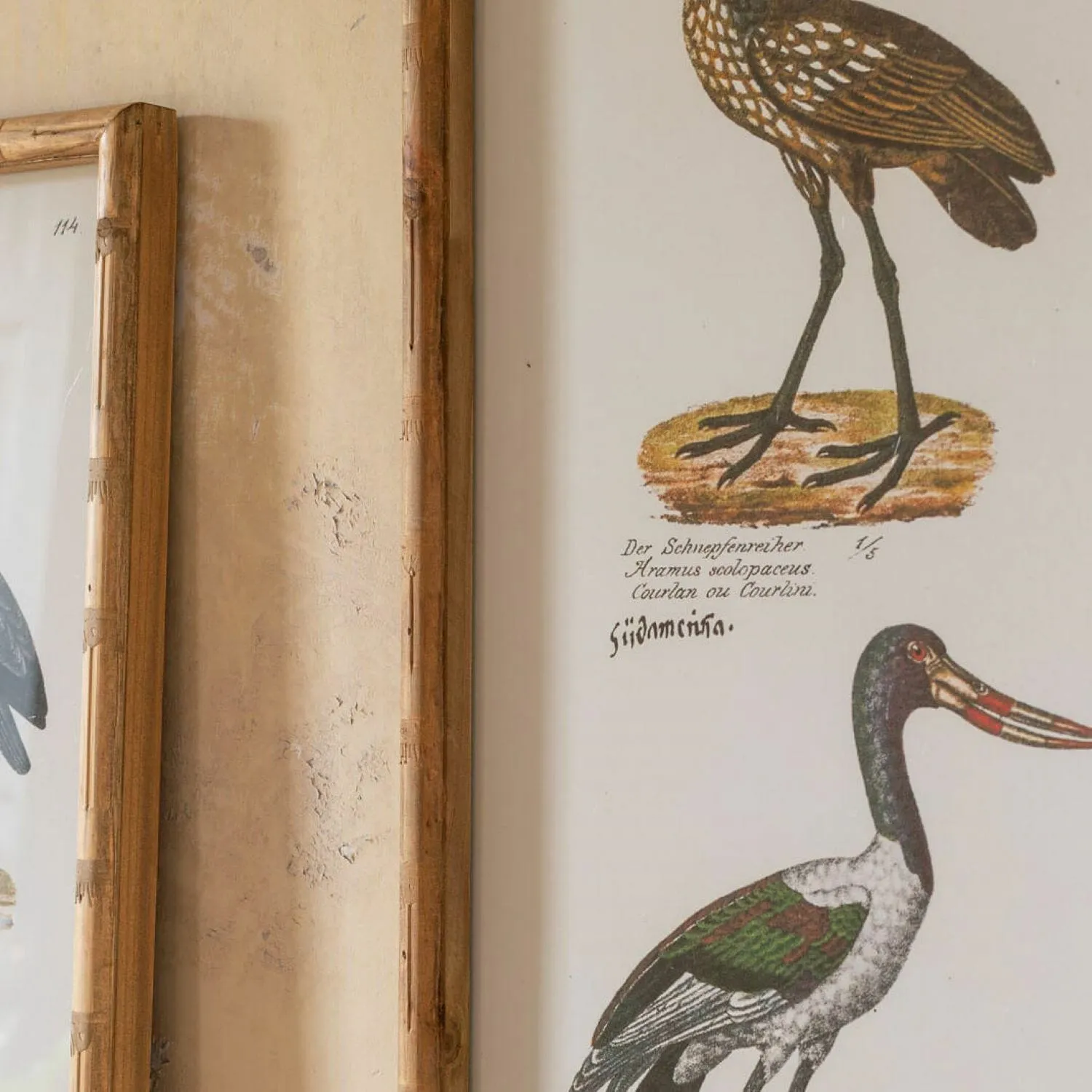 Set of Two Wading Birds Wall Art - Fir, Paper