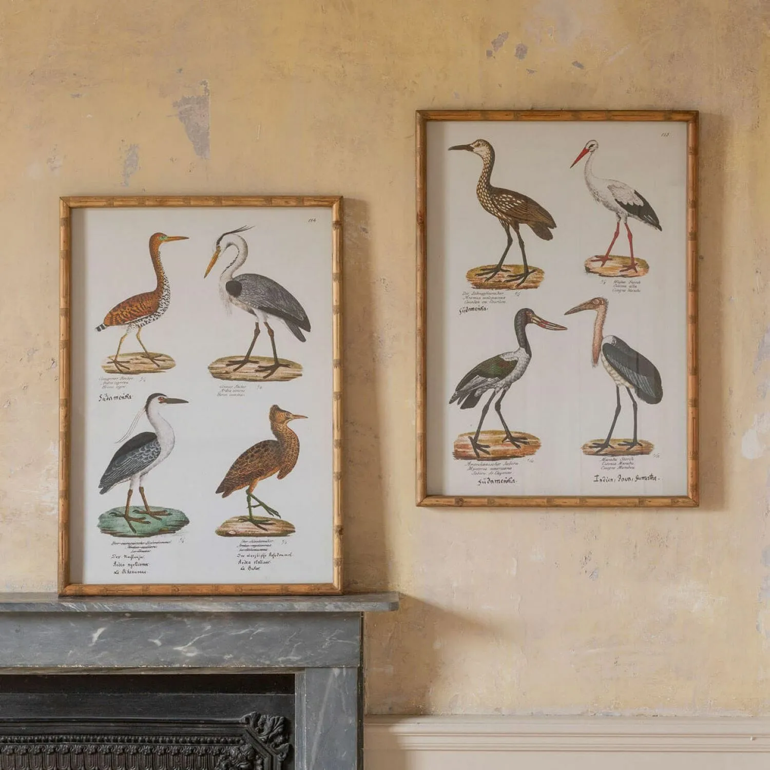Set of Two Wading Birds Wall Art - Fir, Paper image