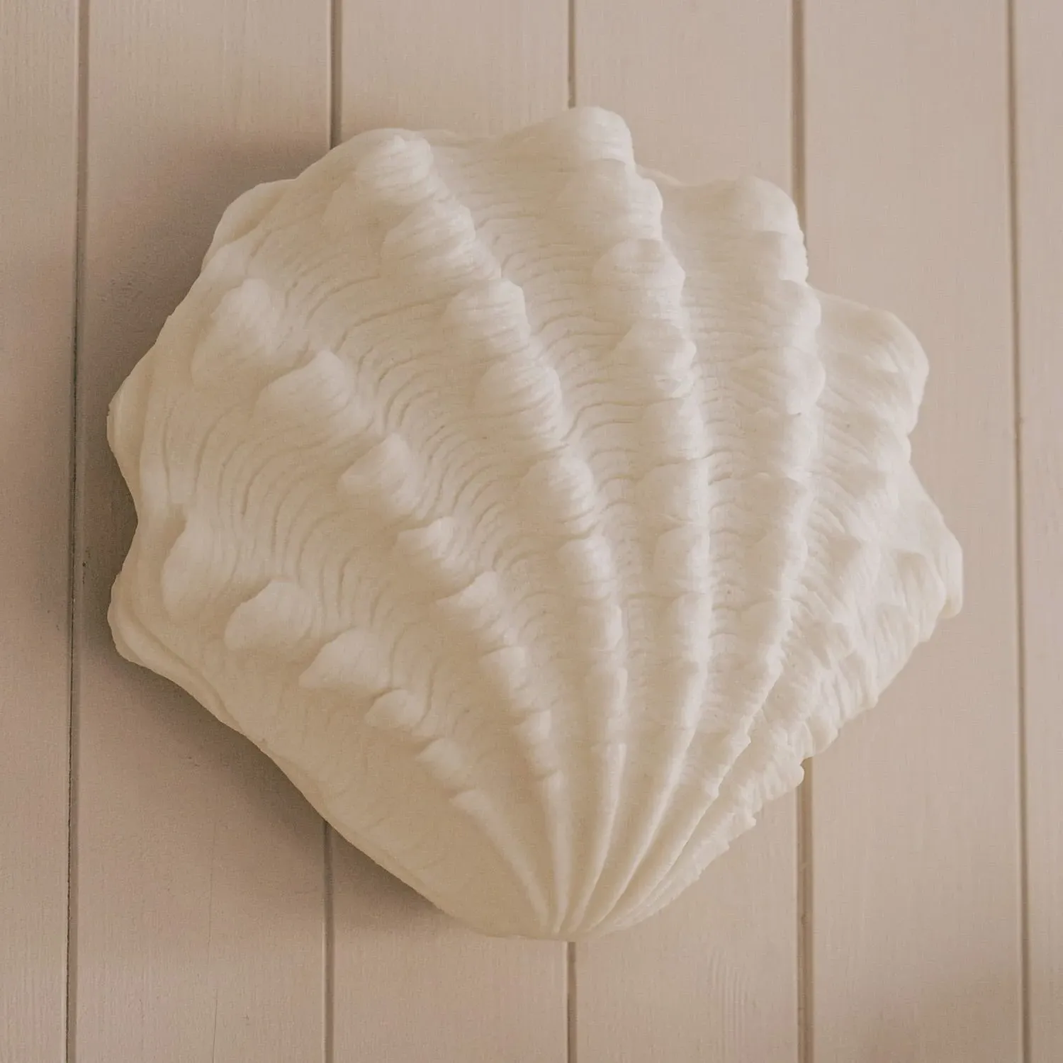 Shell LED Wall Light - Resin
