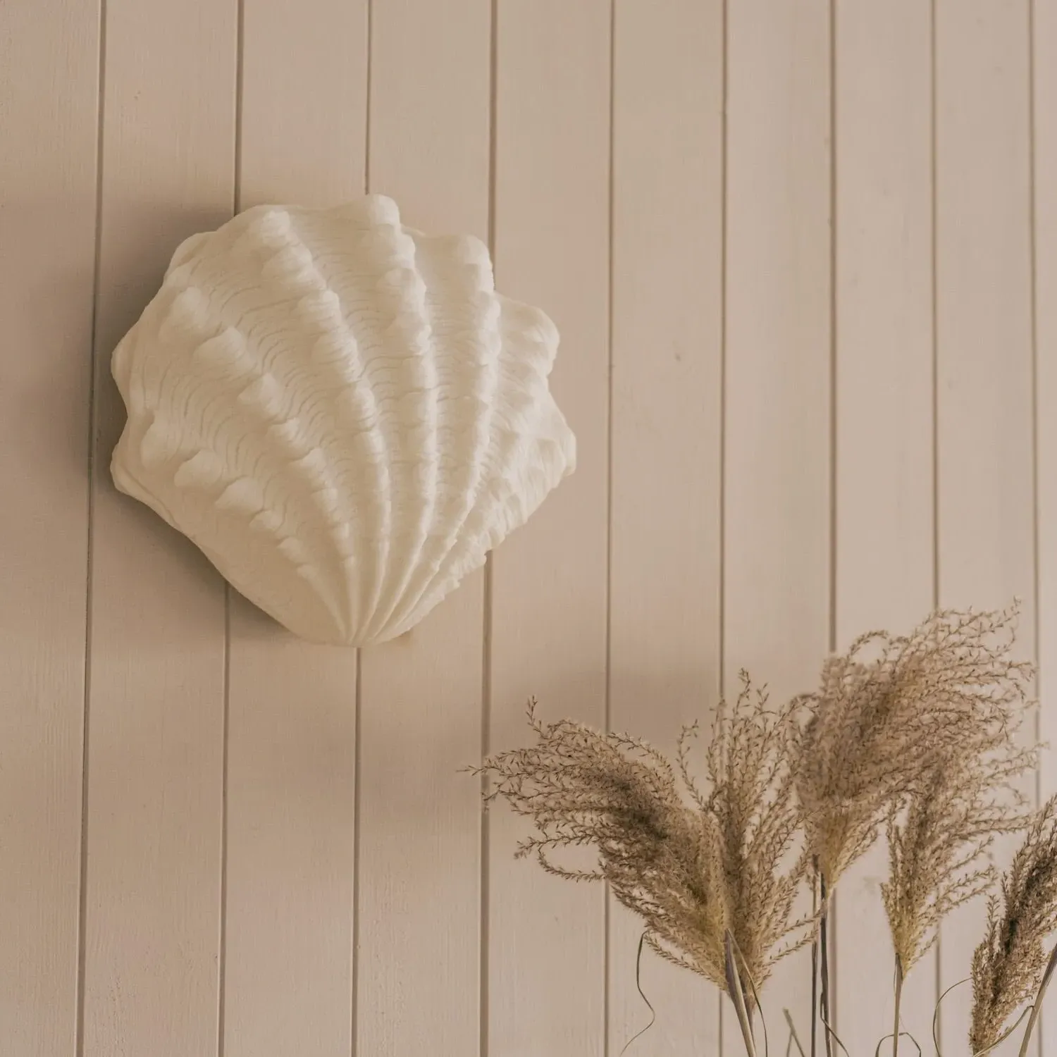 Shell LED Wall Light - Resin image