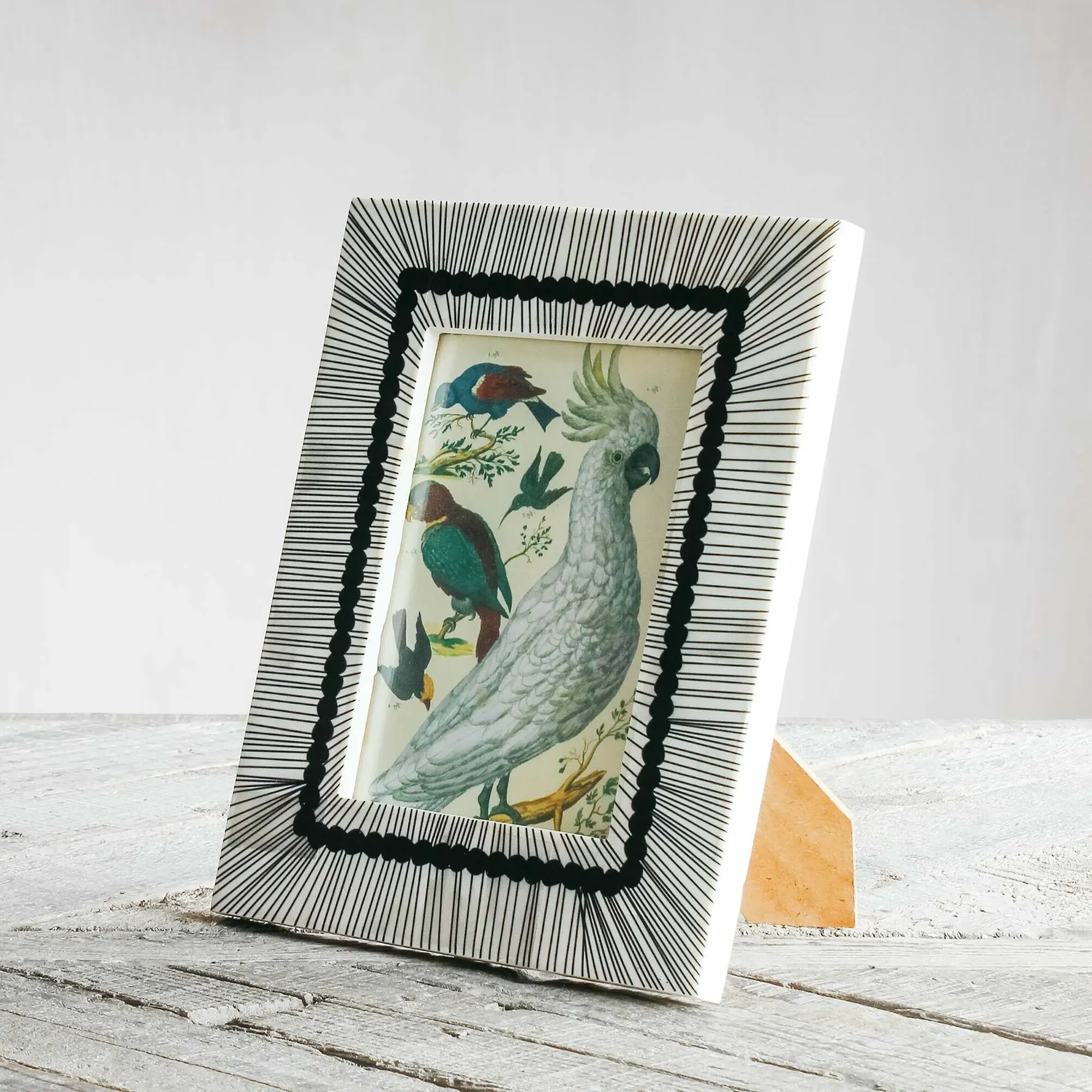 Sketch Print Bone Frame - Black, White image