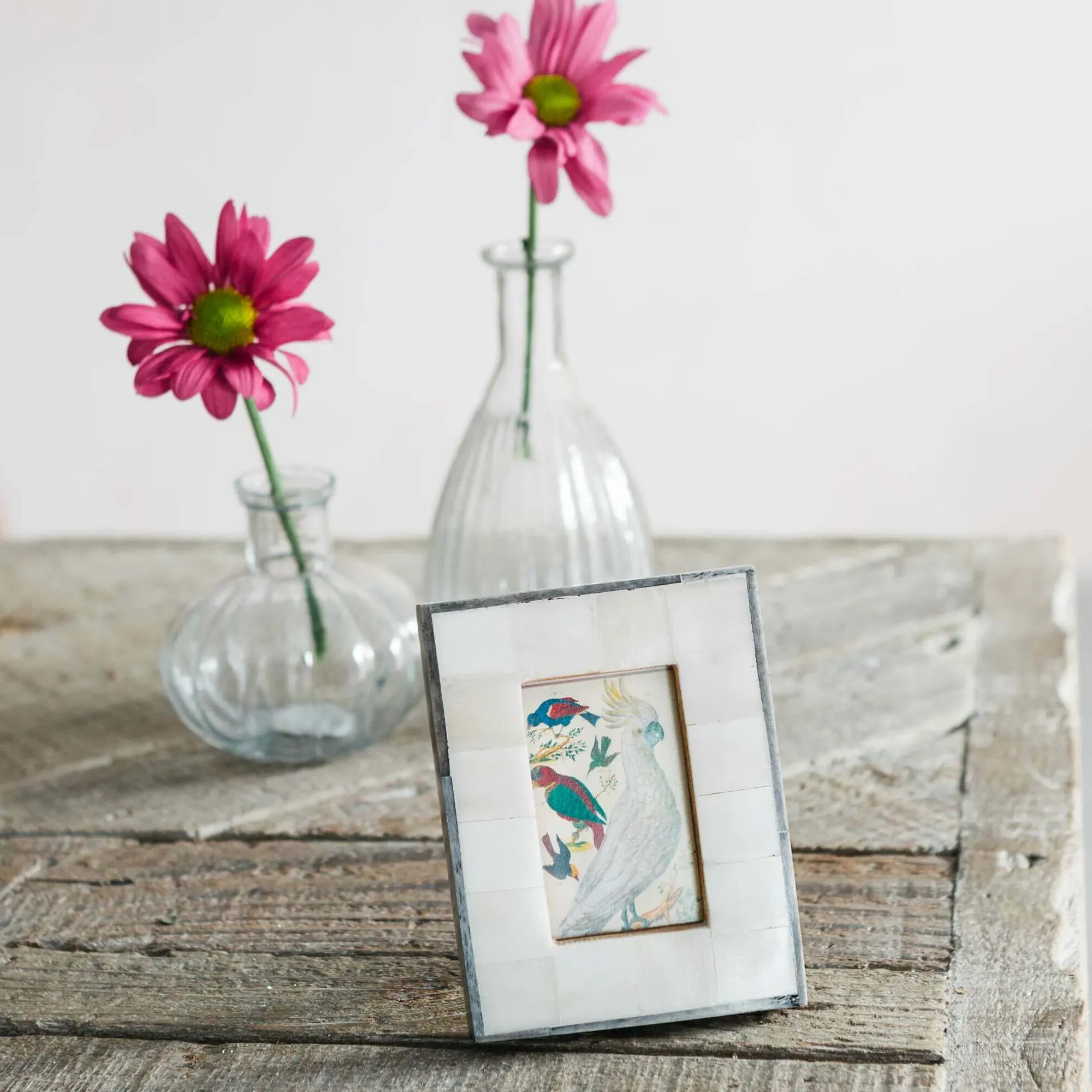 Small Bone Frame with Grey Lipping image