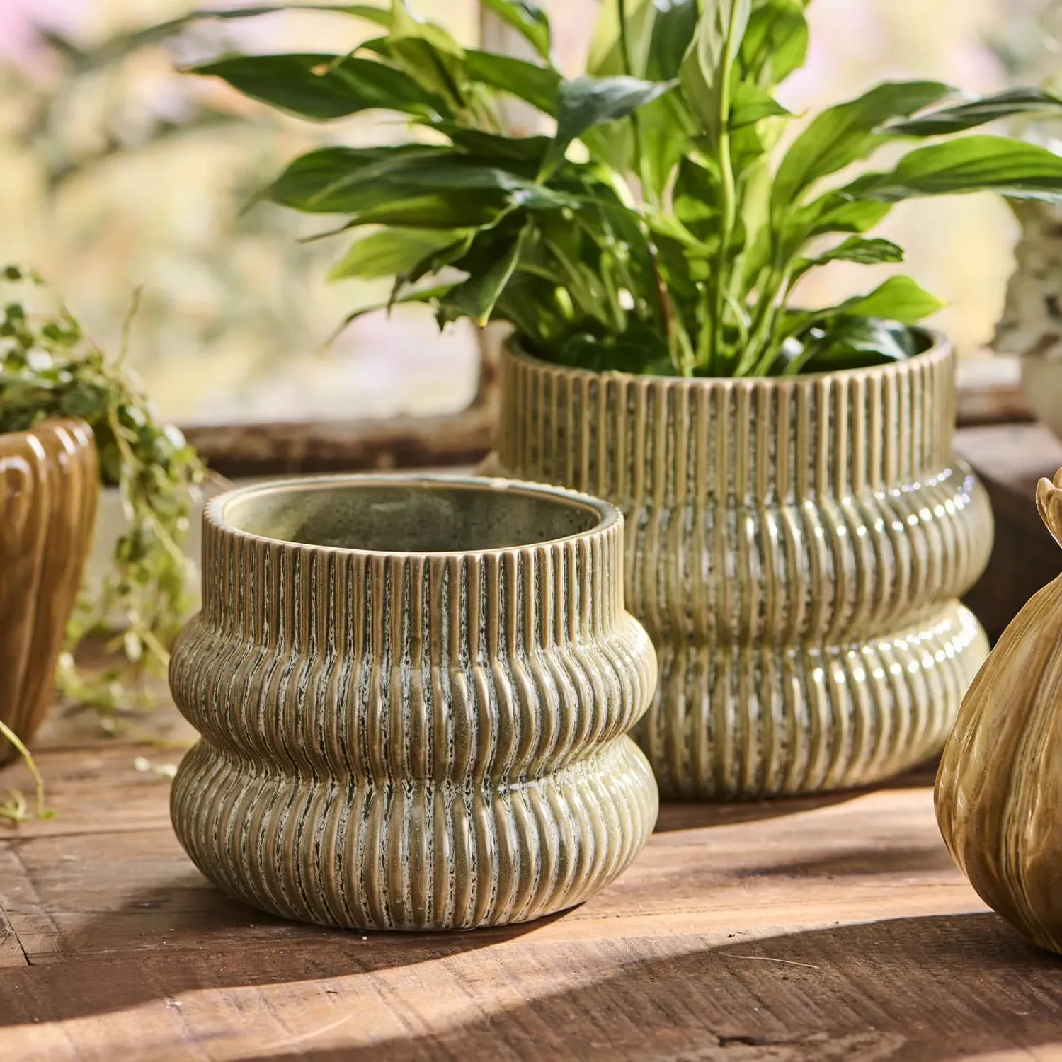 Small Fluted Plant Pot - Green, Ceramic image