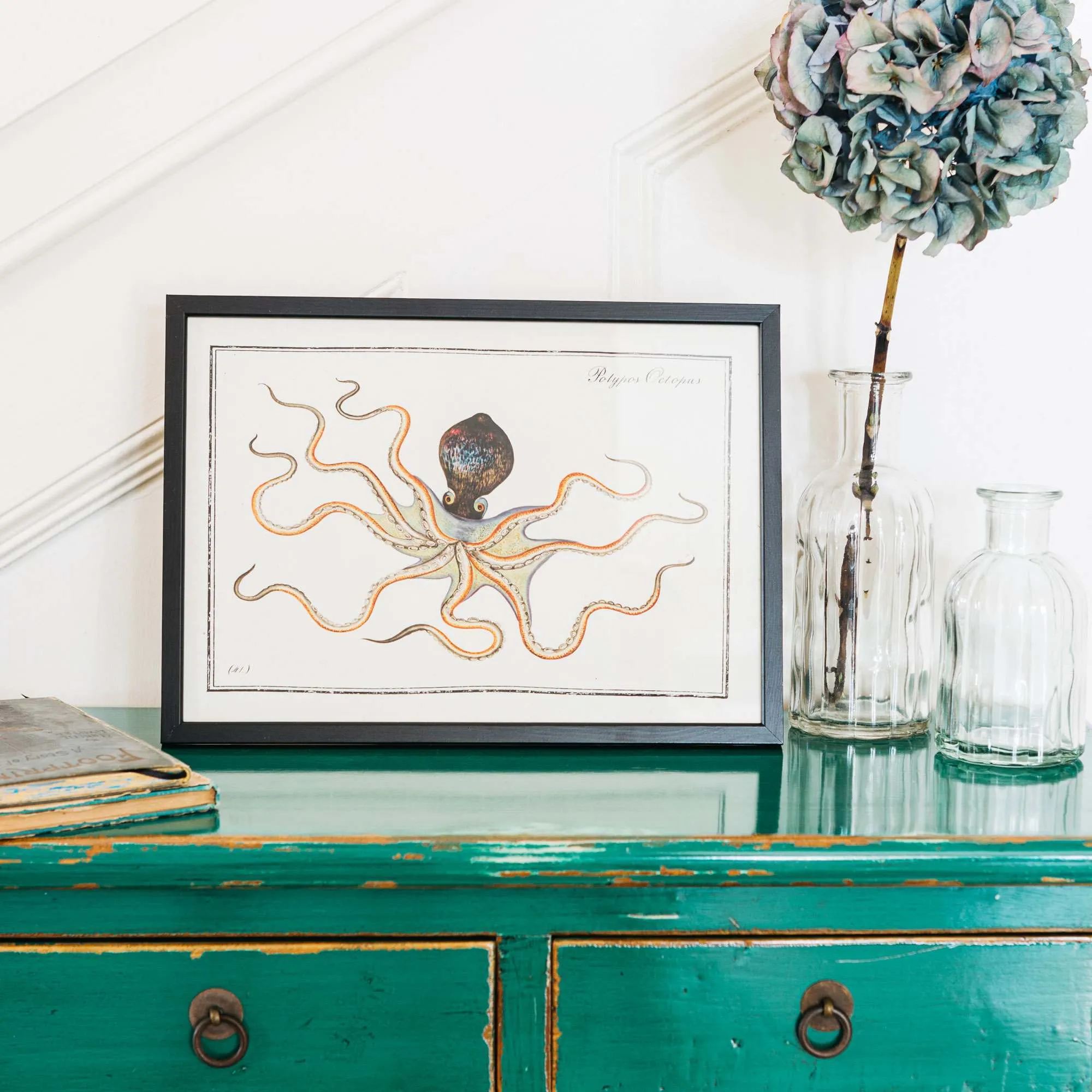 Small Framed Octopus Print - Black Metal image