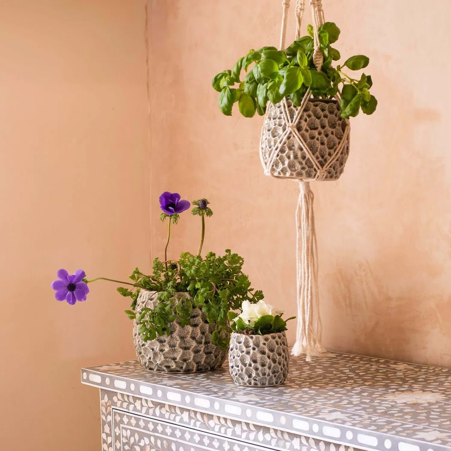 Small Shell Plant Pot - Grey, Ceramic image