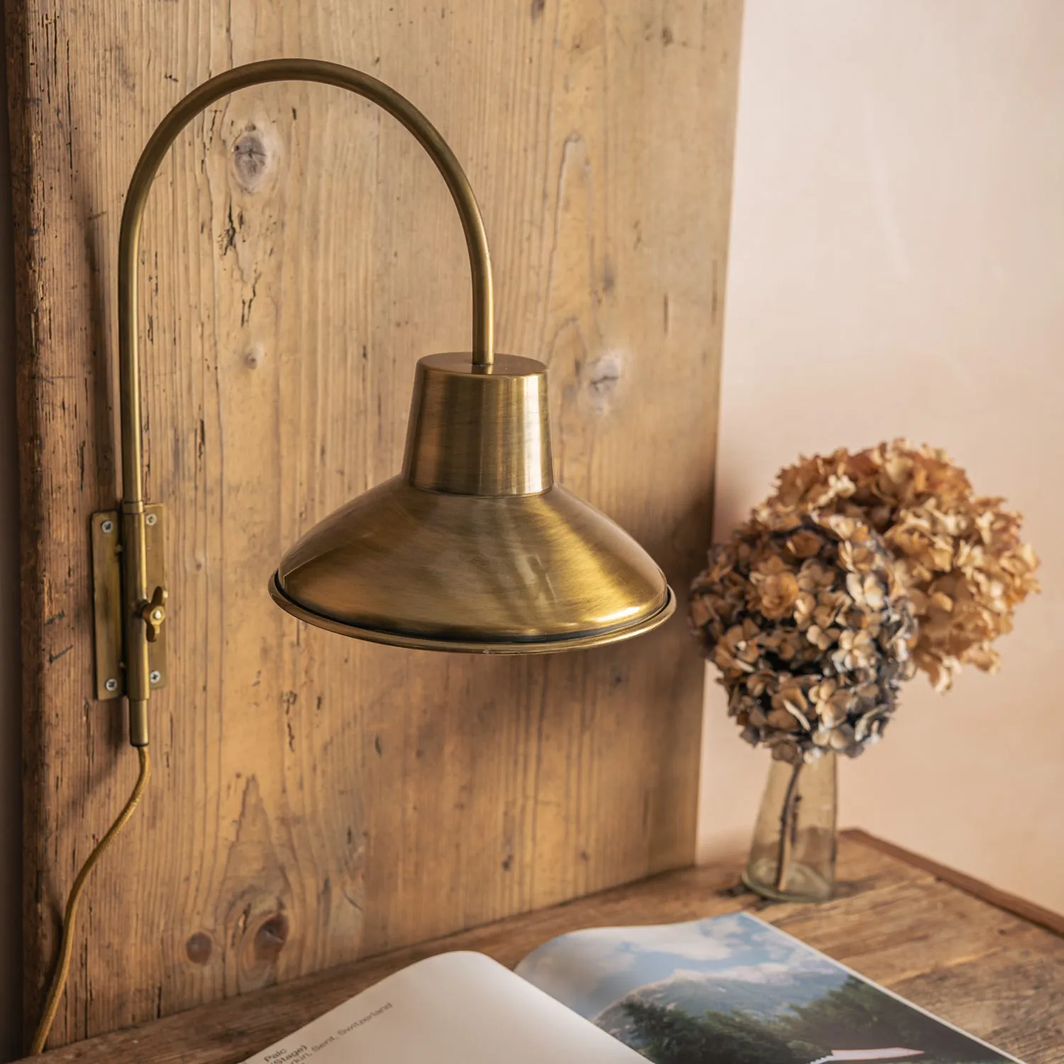 Swan Neck Wall Light - Bronze, Iron