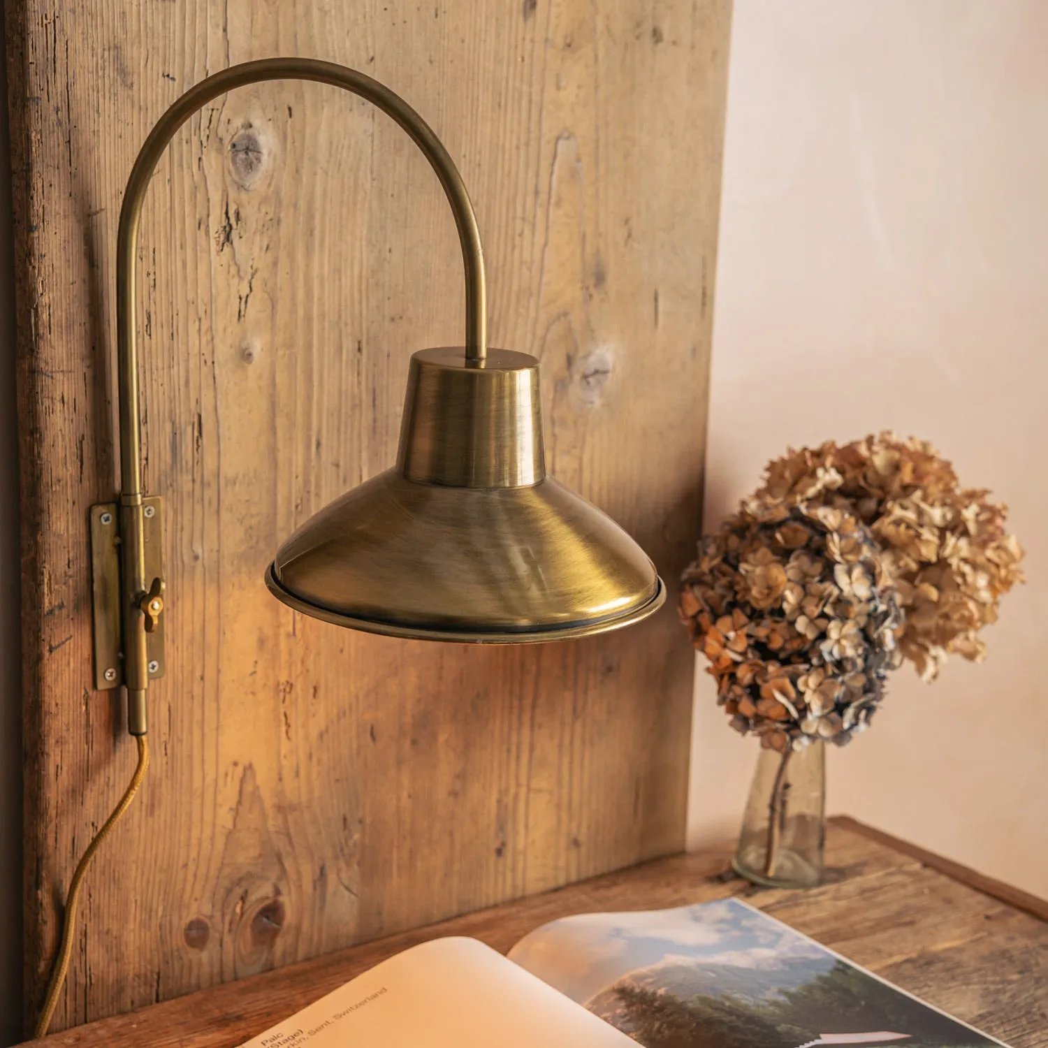 Swan Neck Wall Light - Bronze, Iron image