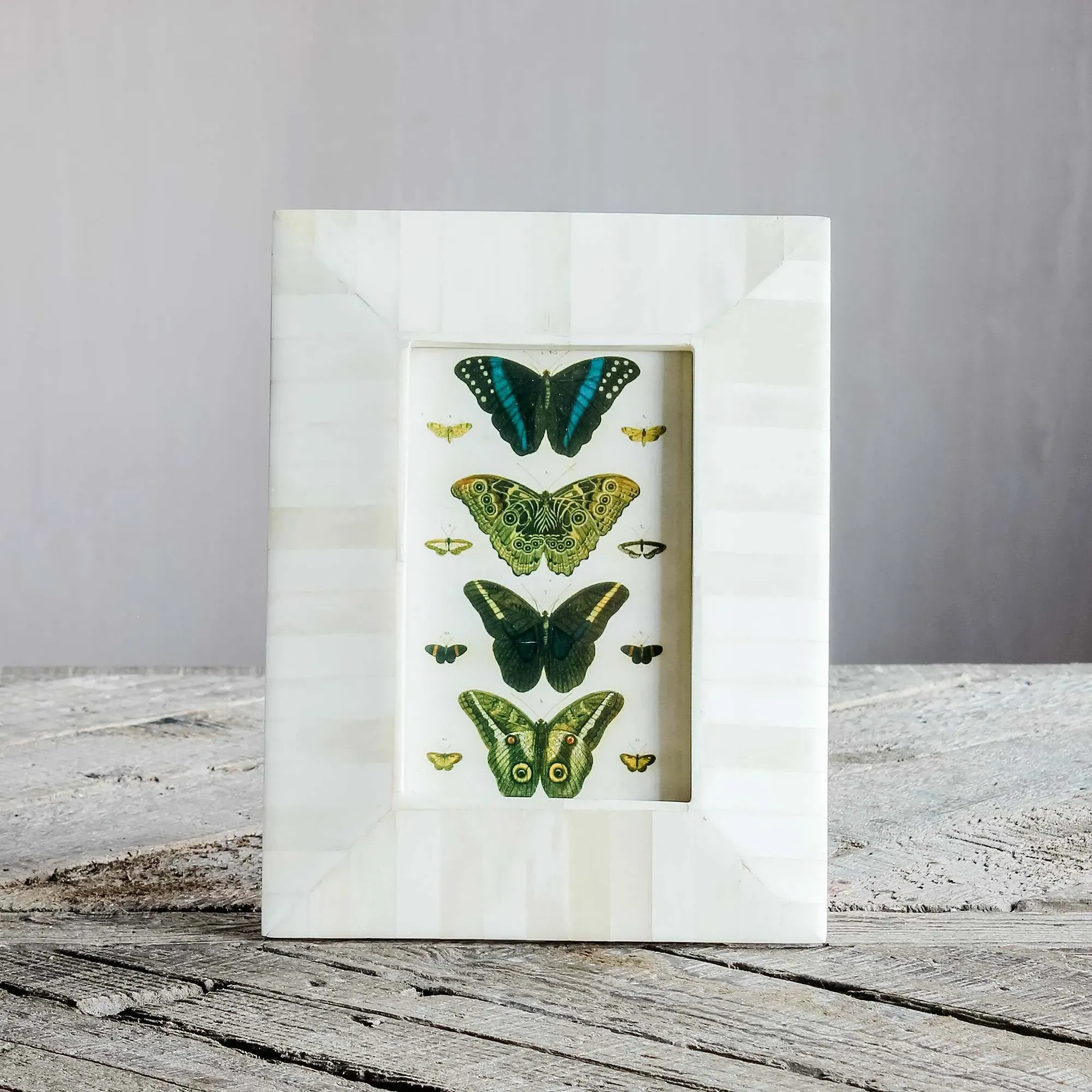 Tapered Photo Frame - White, Bone