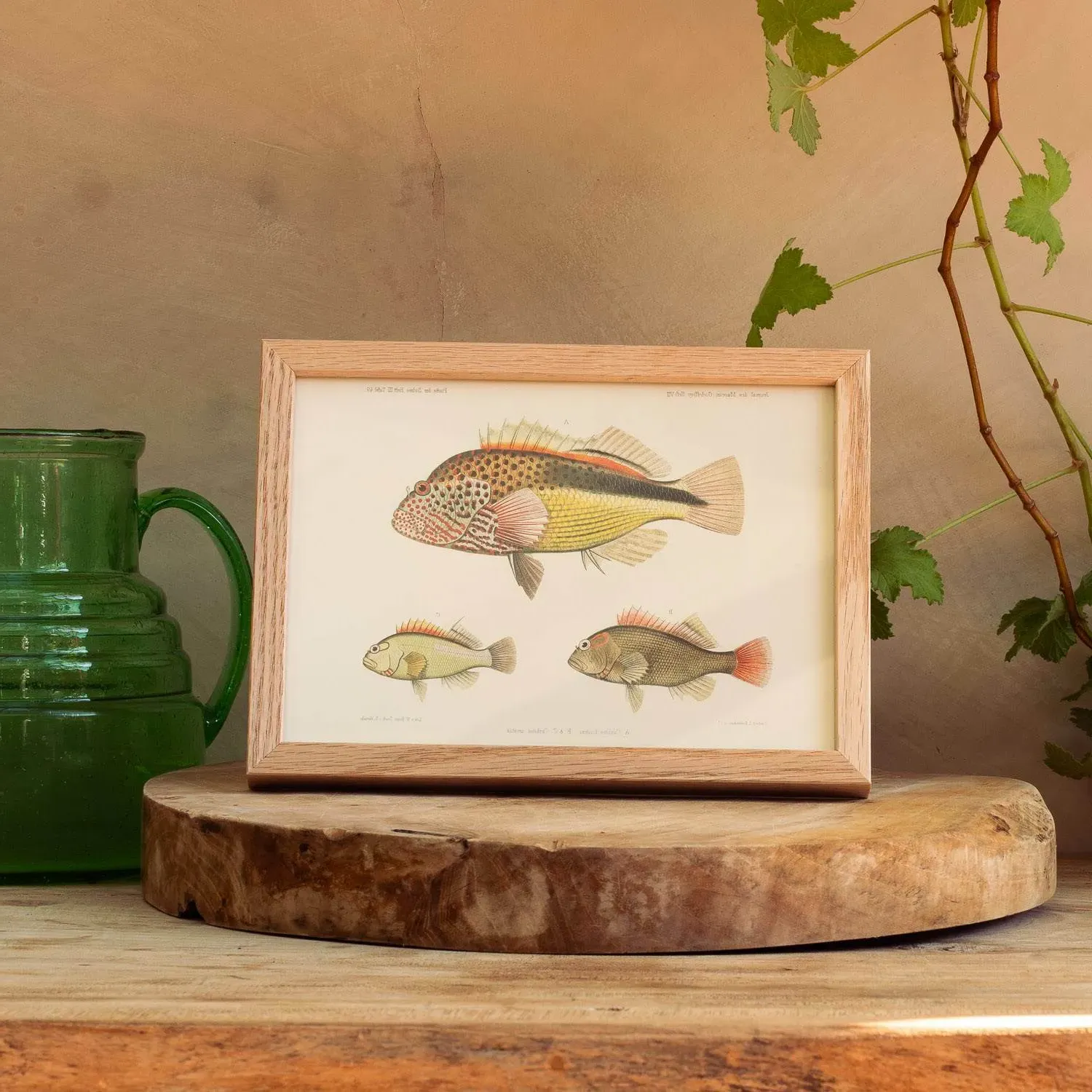 Three Hawkfish Print with Oak Frame