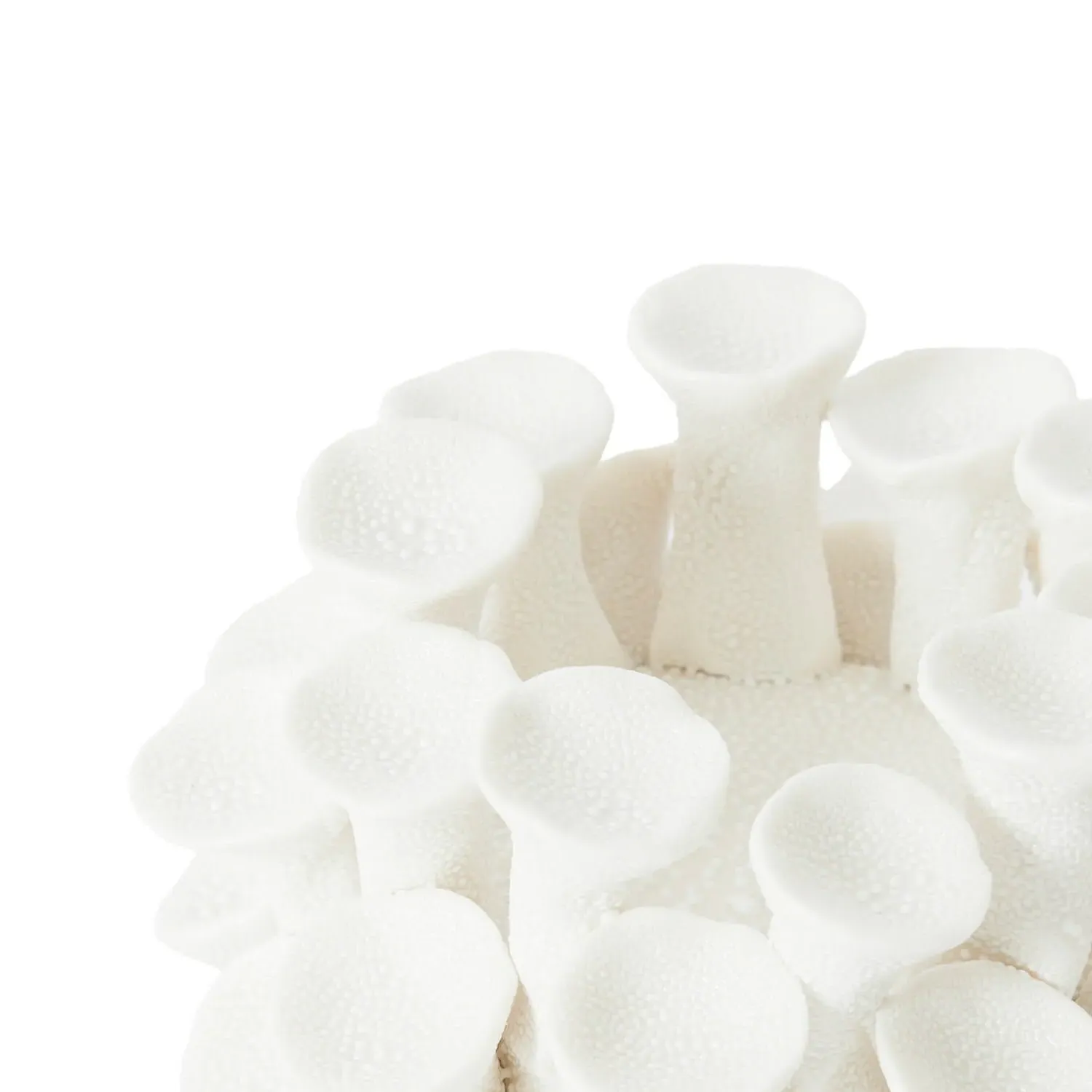 Tube Coral Tealight Holder - Off-White, Porcelain